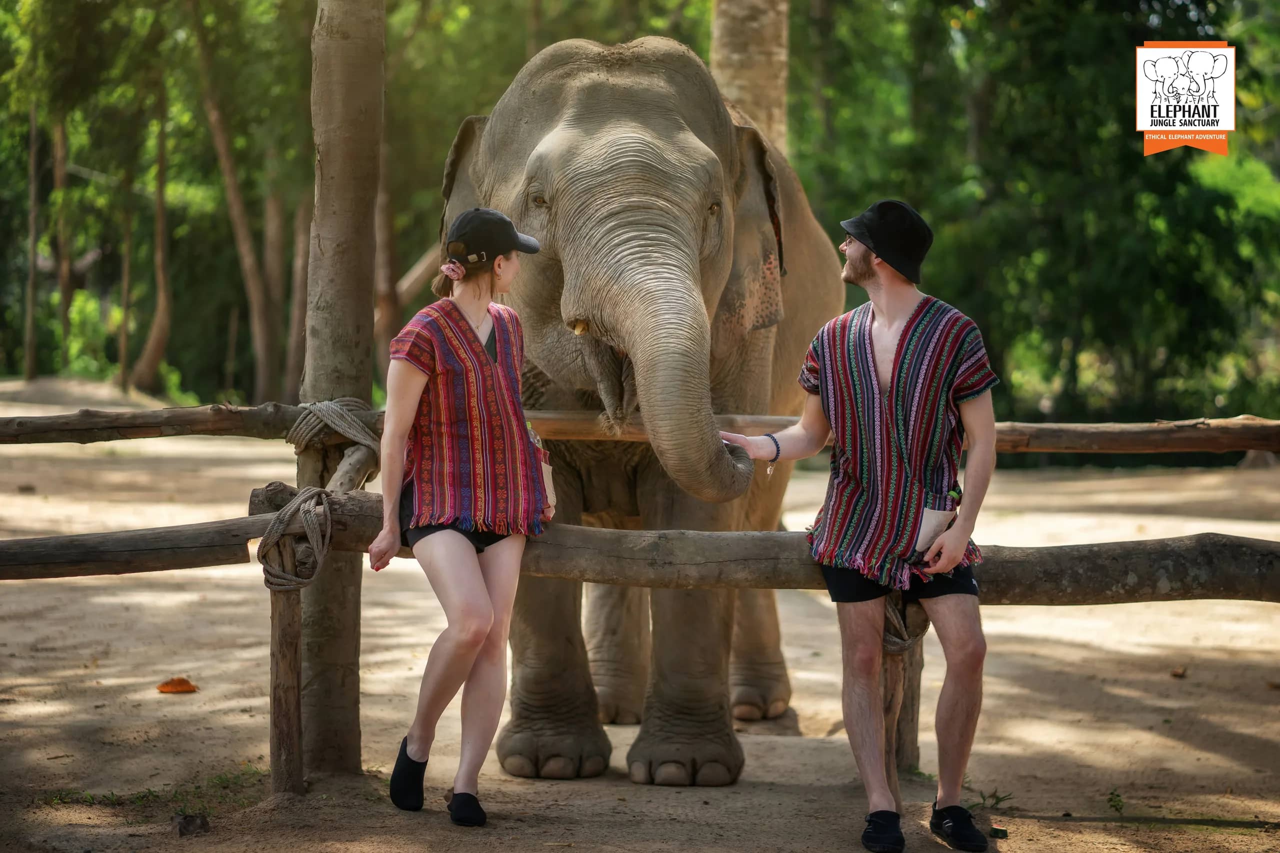 Feed Me at Elephant Jungle Sanctuary Samui (photo 6)
