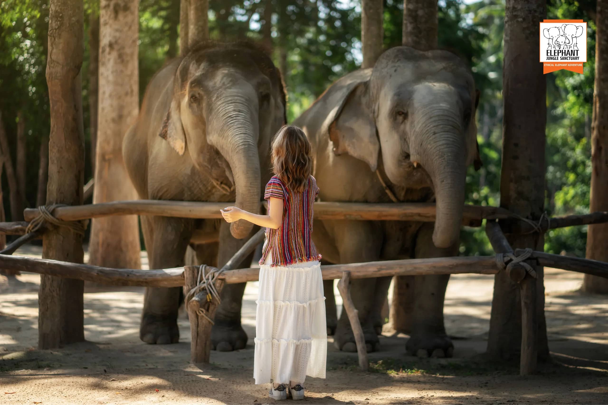 Feed Me at Elephant Jungle Sanctuary Samui (photo 1)