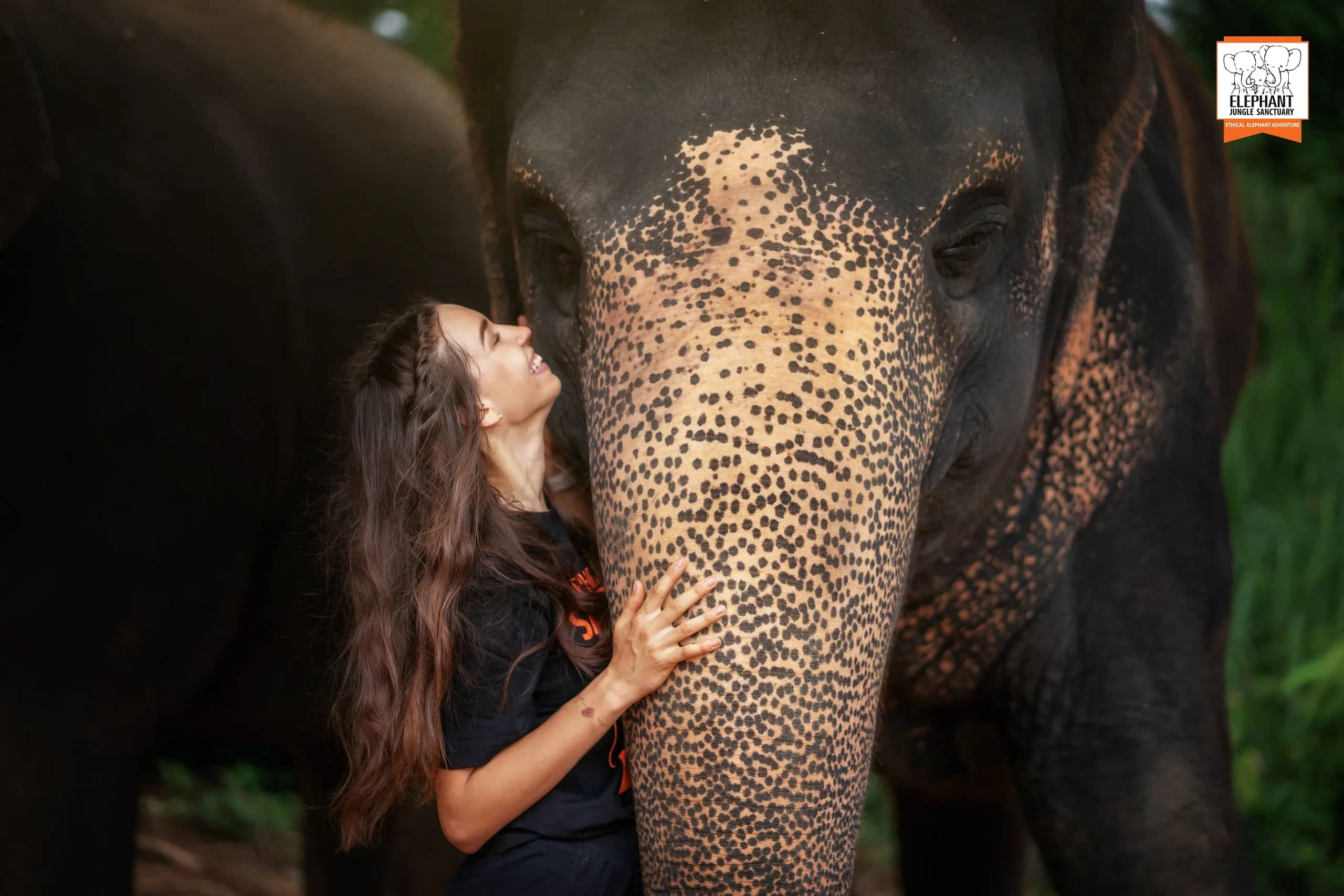 Feed Me Premium at Elephant Jungle Sanctuary Samui (photo 7)