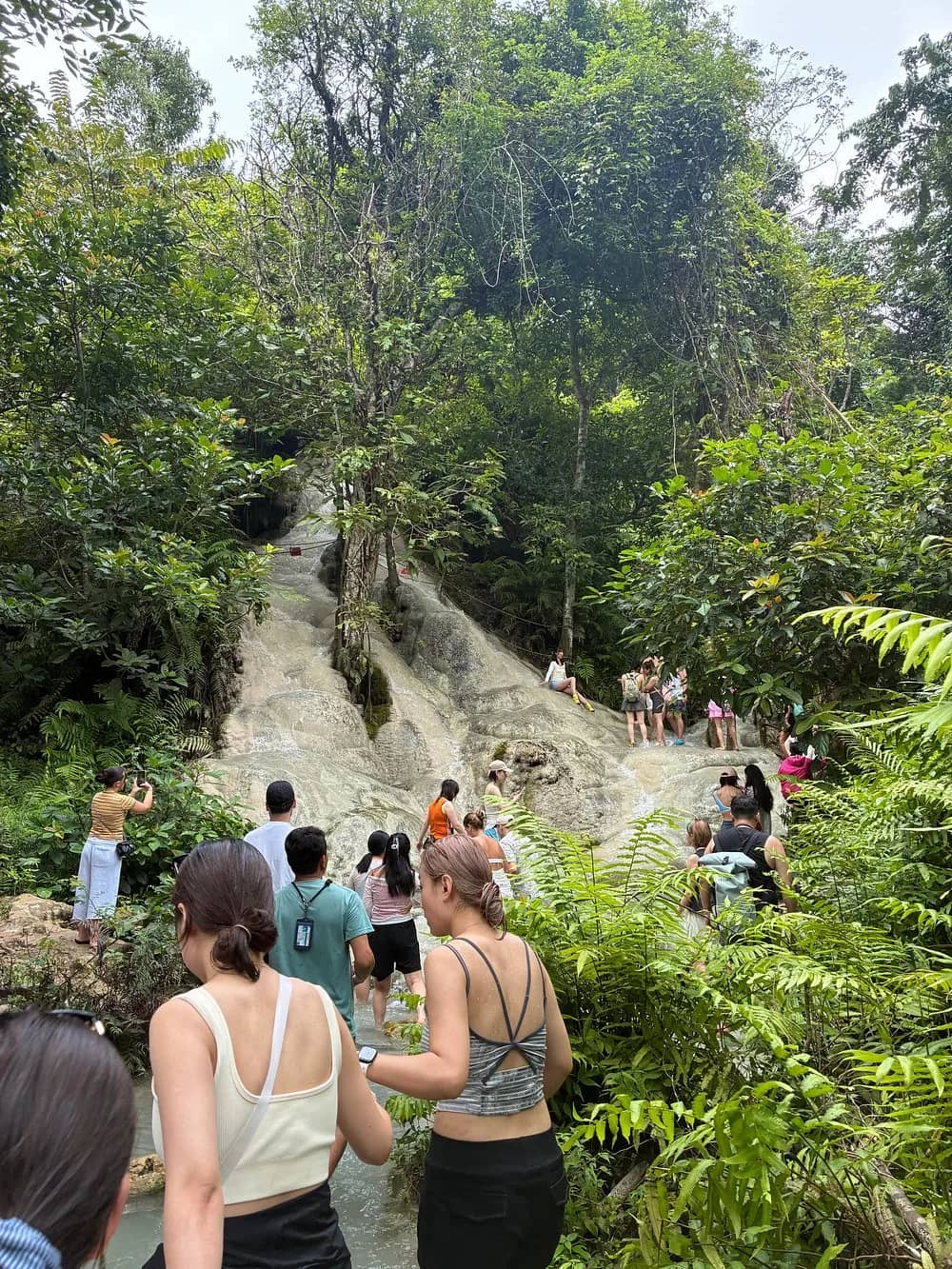 Visitors line up to climb the pale limestone steps of the sticky waterfall in the jungle.
