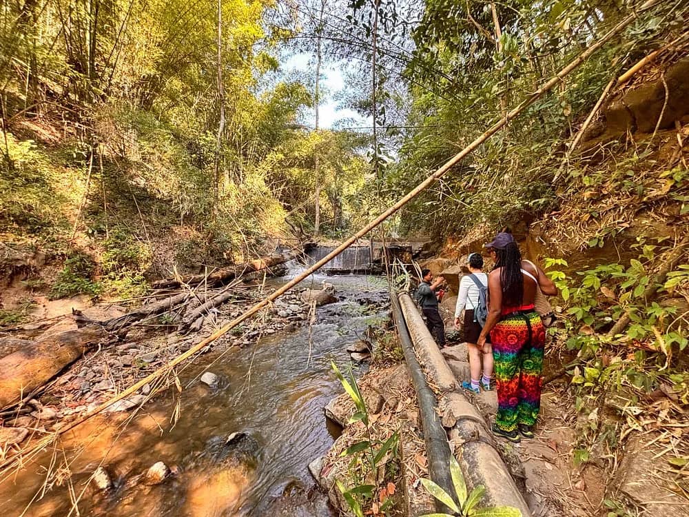 Hikers follow a narrow path beside a shallow stream in a bamboo forest on the way to the waterfall.