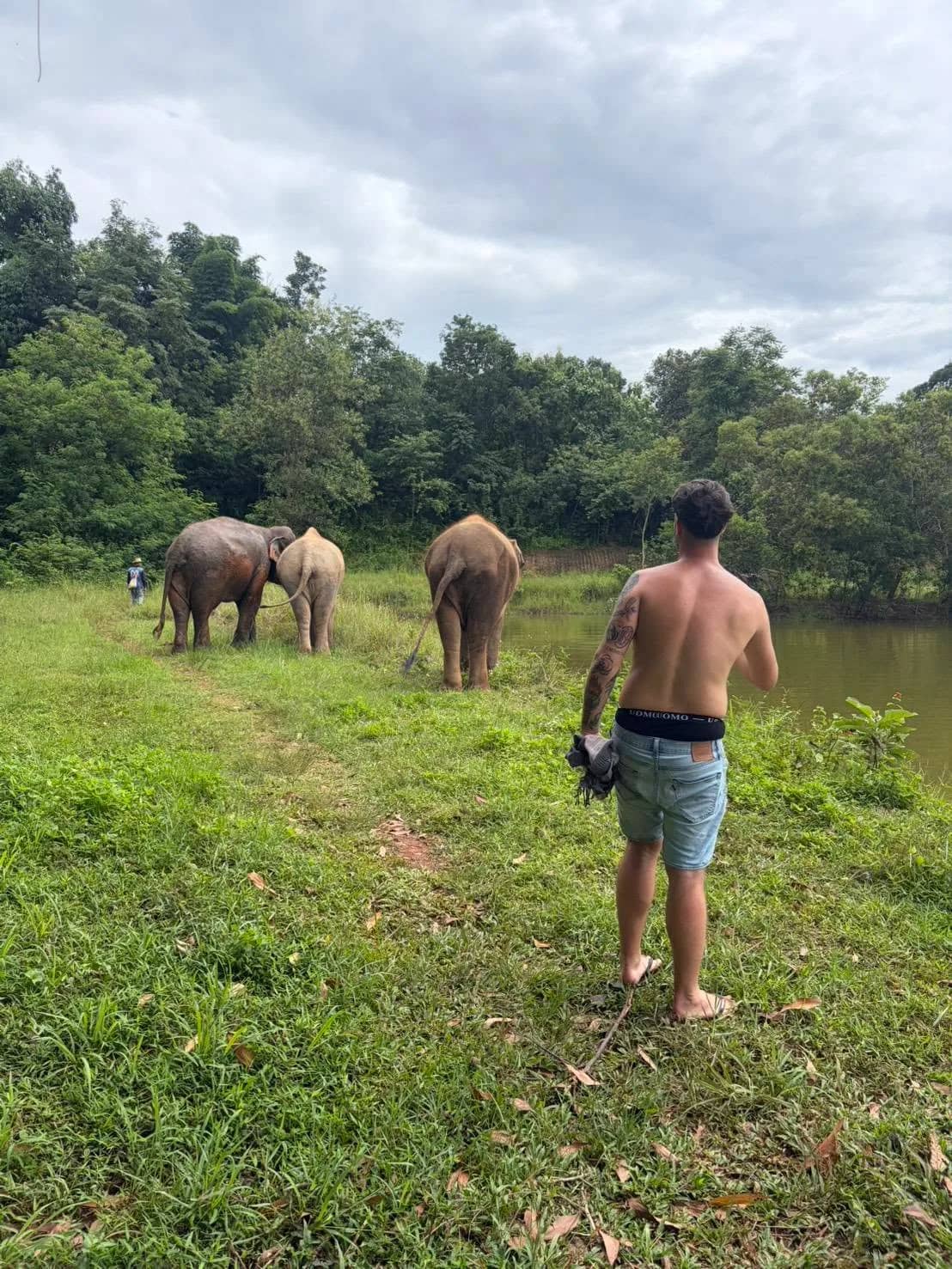 A visitor stands on the grass watching three elephants near the edge of a lake