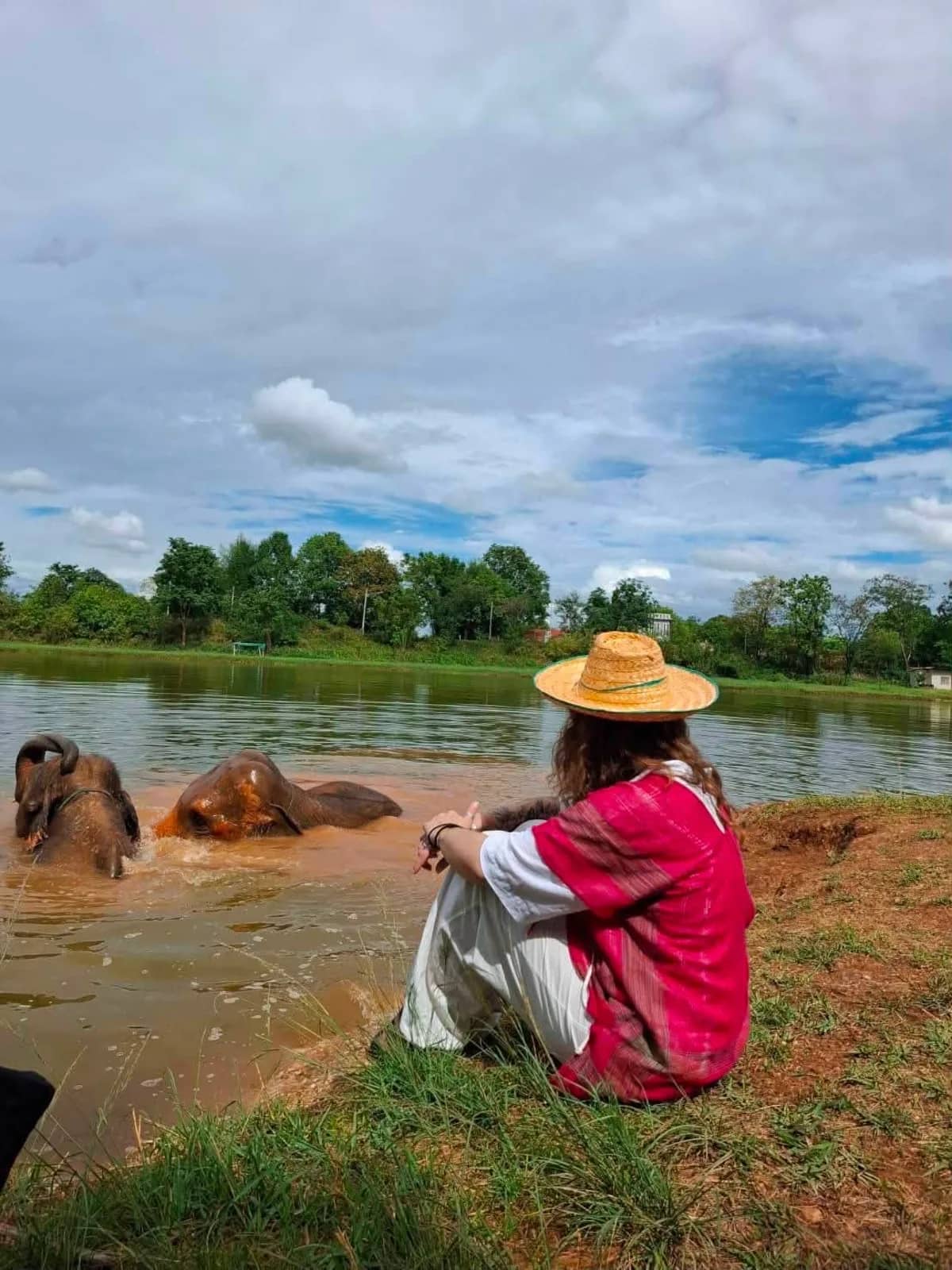 A visitor in a red Karen shirt and straw hat watches elephants bathing in a calm river