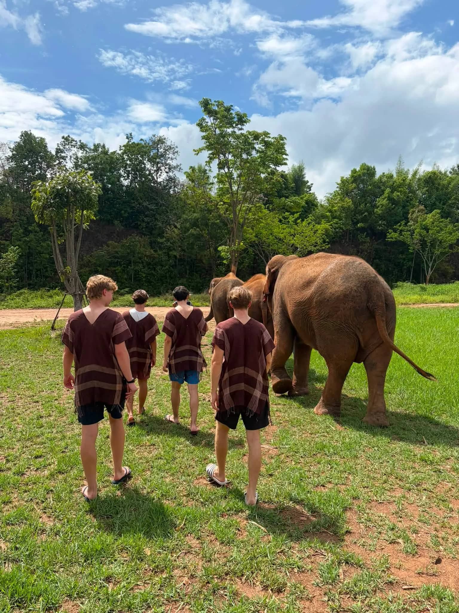Visitors in brown Karen shirts walk across a grassy field toward an elephant