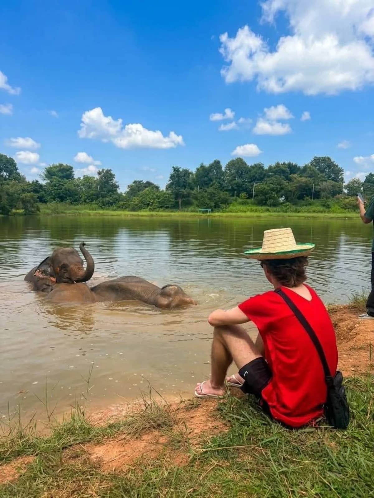 A visitor in a straw hat sits on the riverbank watching two elephants bathe