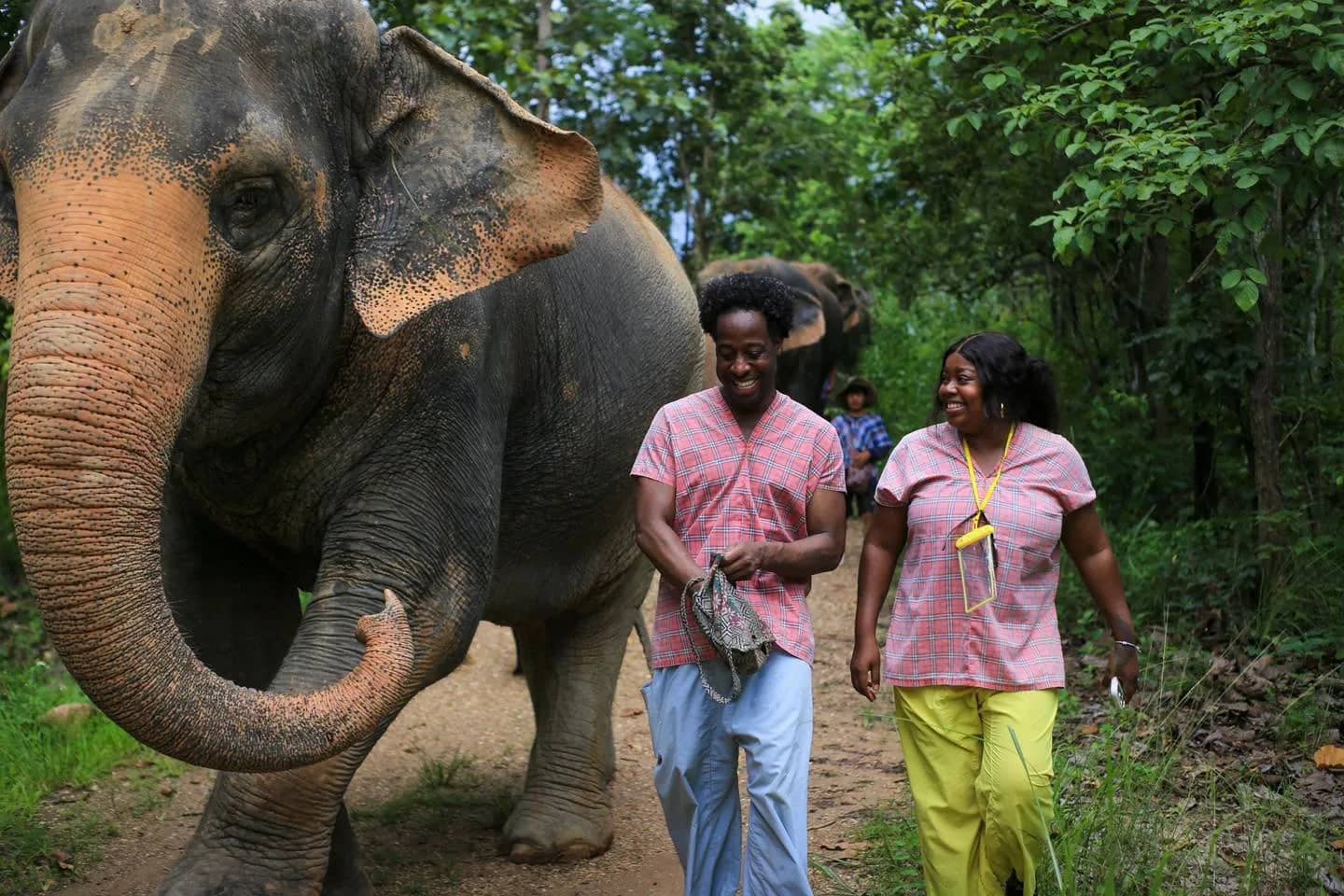 Two visitors walk and laugh beside an elephant on a forest trail at Mae Rim