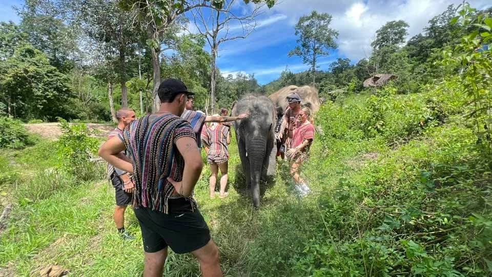 Visitors in woven ponchos walk with an elephant through tall grass on an afternoon sanctuary visit