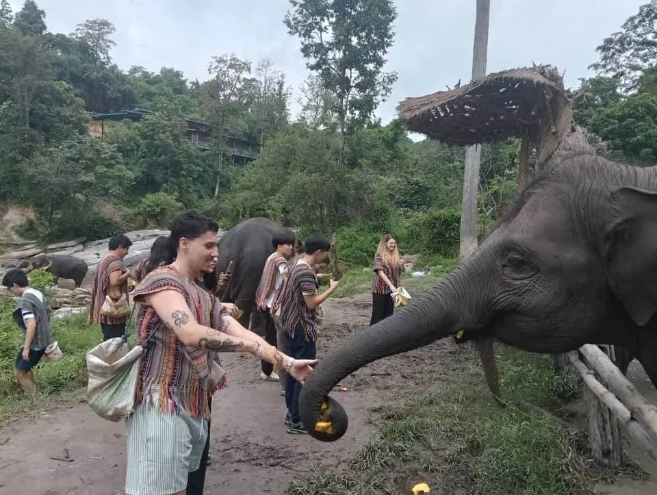 A visitor in a woven poncho offers fruit to an elephant reaching its trunk over a wooden rail