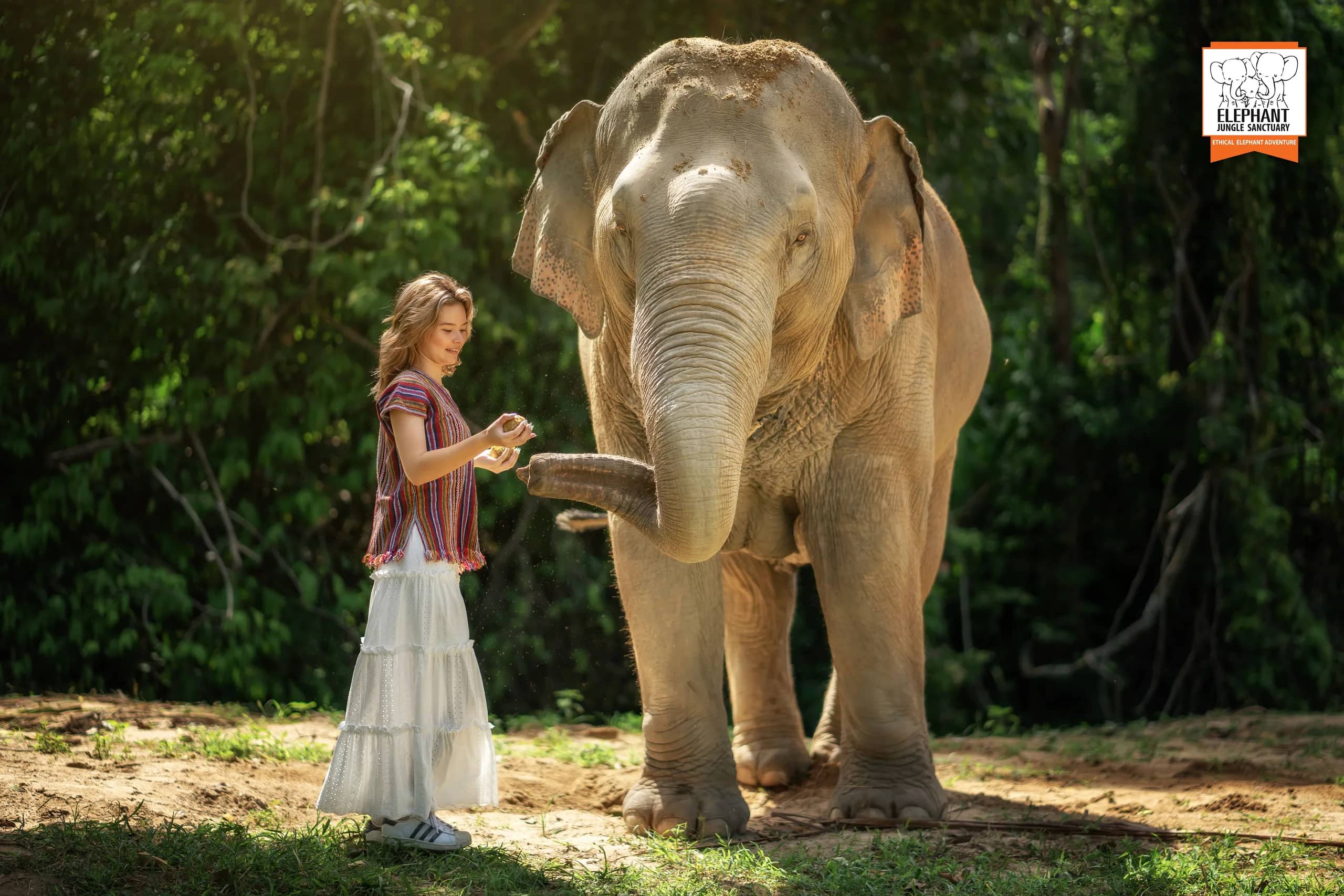 Half Day Care at Elephant Jungle Sanctuary Samui (photo 3)