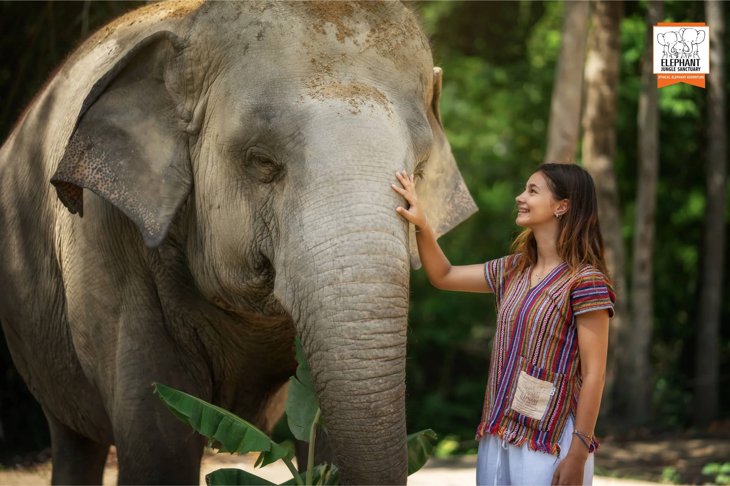 Half Day Care at Elephant Jungle Sanctuary Samui (photo 7)