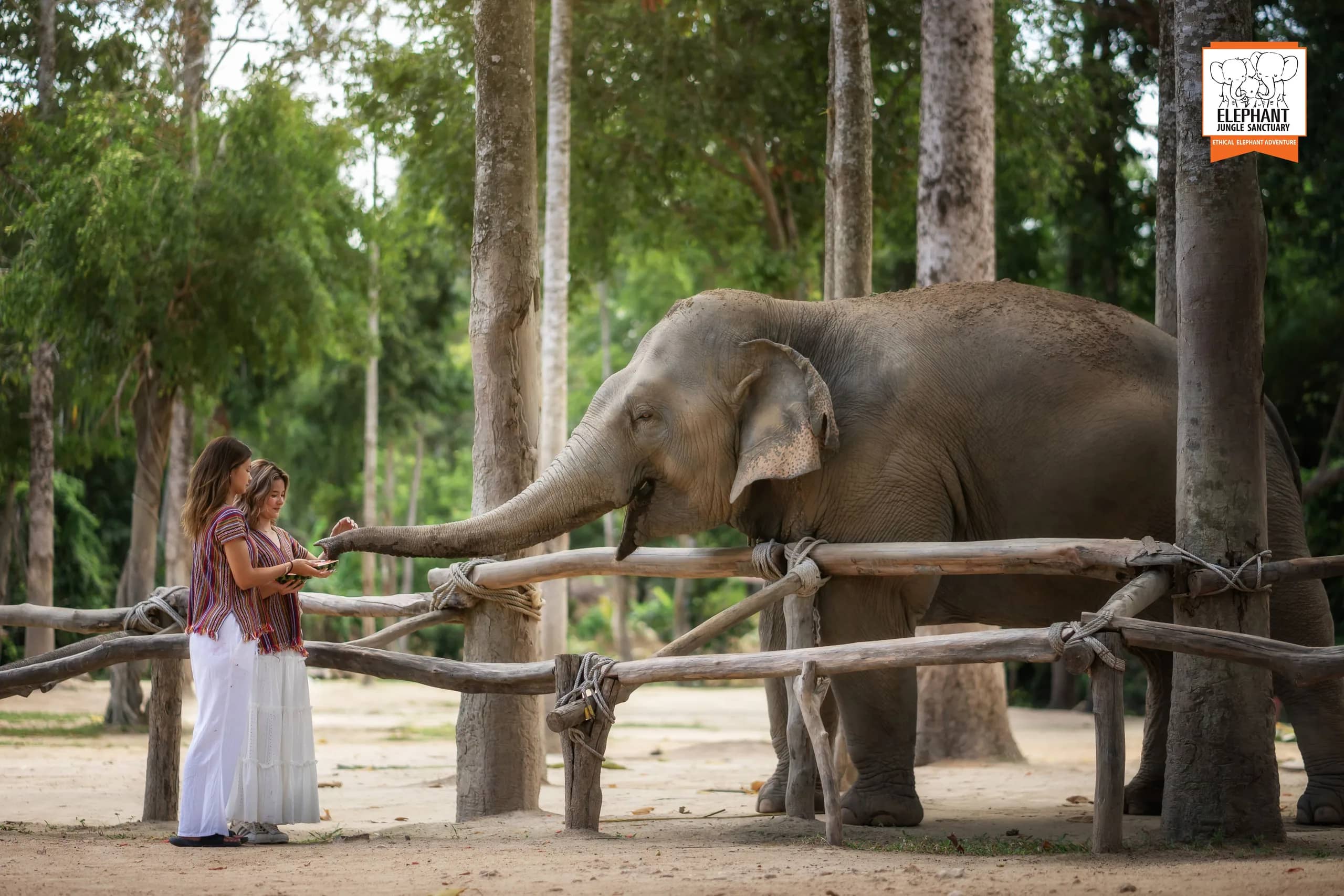 Half Day Care at Elephant Jungle Sanctuary Samui (photo 8)