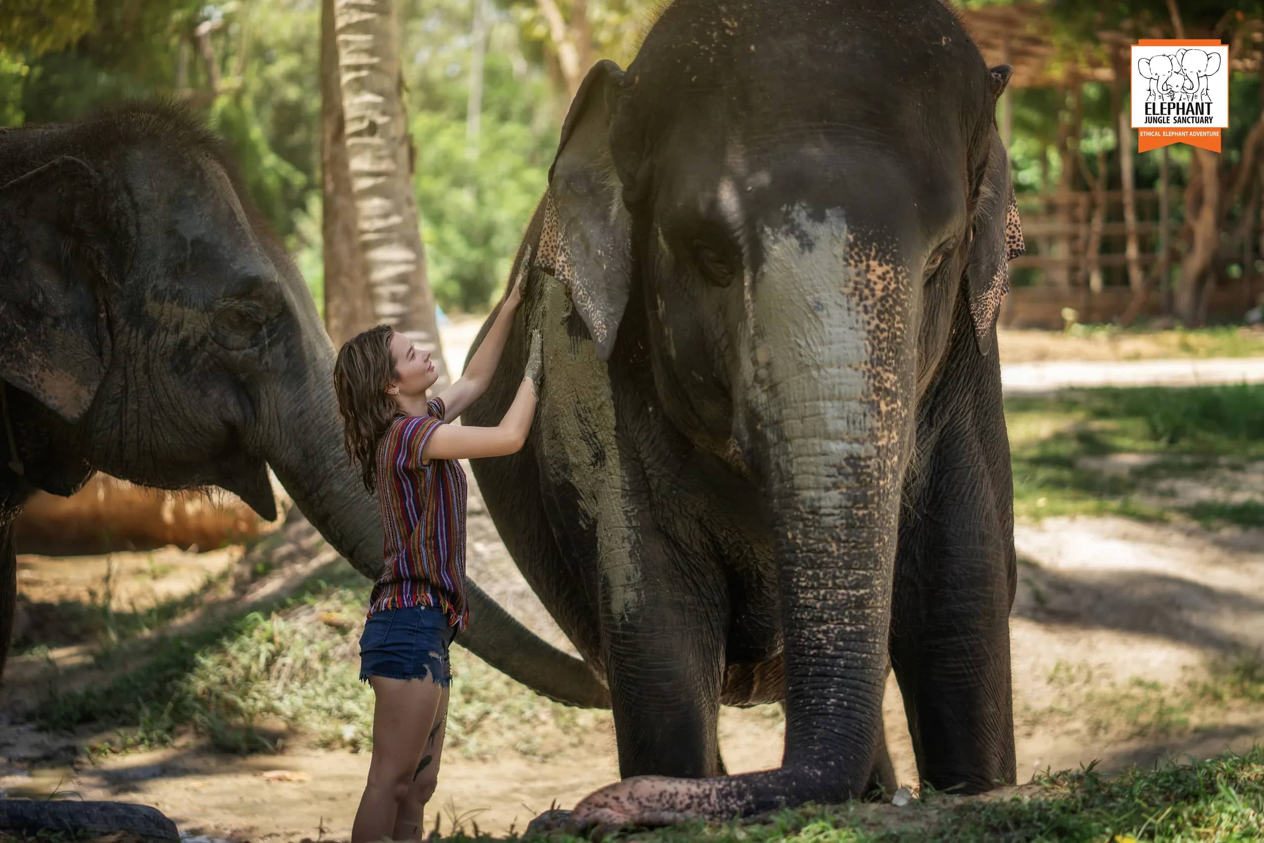 Half Day Care - Elephant Jungle Sanctuary Samui