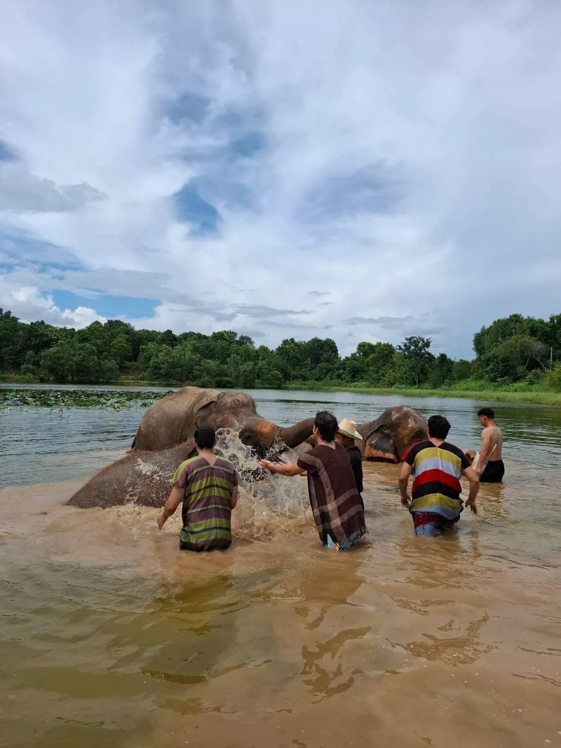 Visitors in Karen shirts wade into a lake and splash water over an elephant