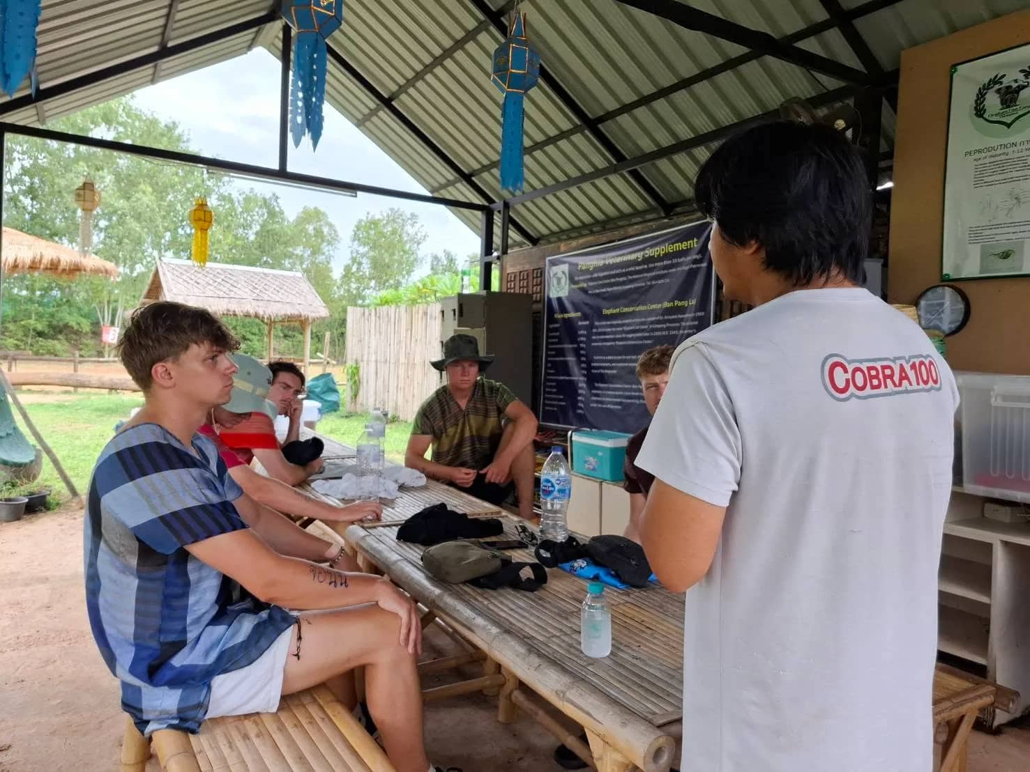 A guide talks to guests seated at a bamboo table in an open-air shelter before the elephant activities.