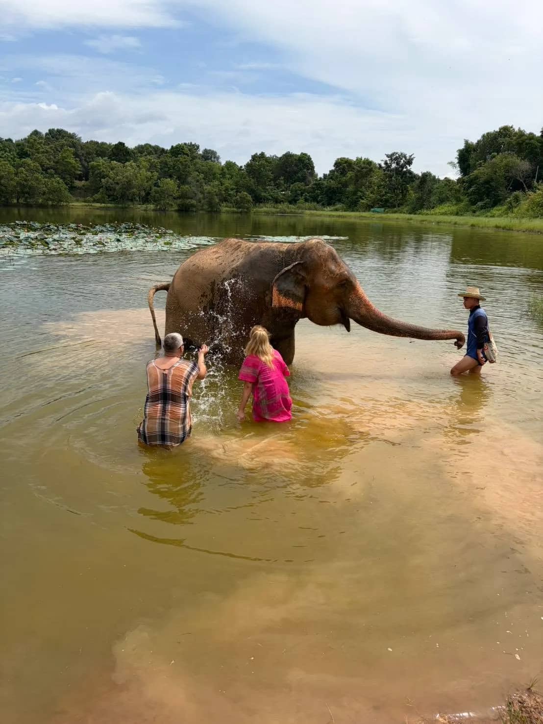 Visitors splash water over an elephant standing in a muddy pond as a mahout watches.