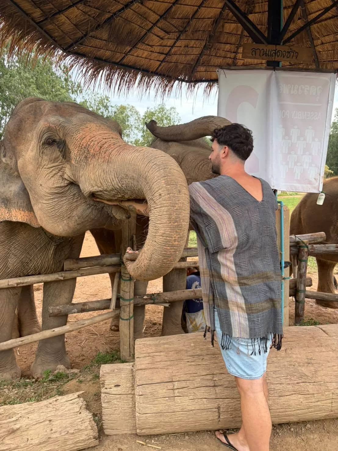 A visitor in a woven top stands close to an elephant reaching its trunk toward him under a thatched shelter.
