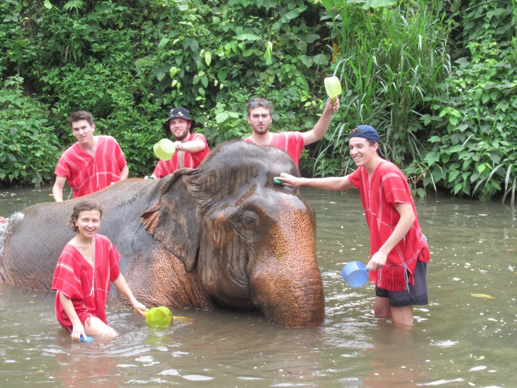 Visitors in red tunics pour water over an elephant standing in a forest stream