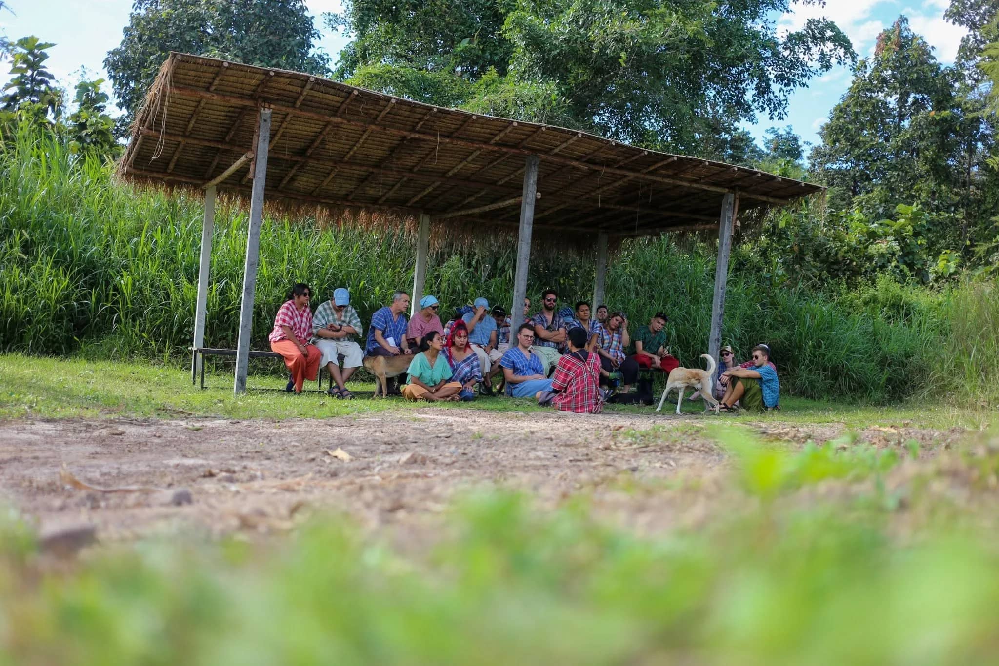 Visitors sit on benches under a thatched shelter at the edge of the forest