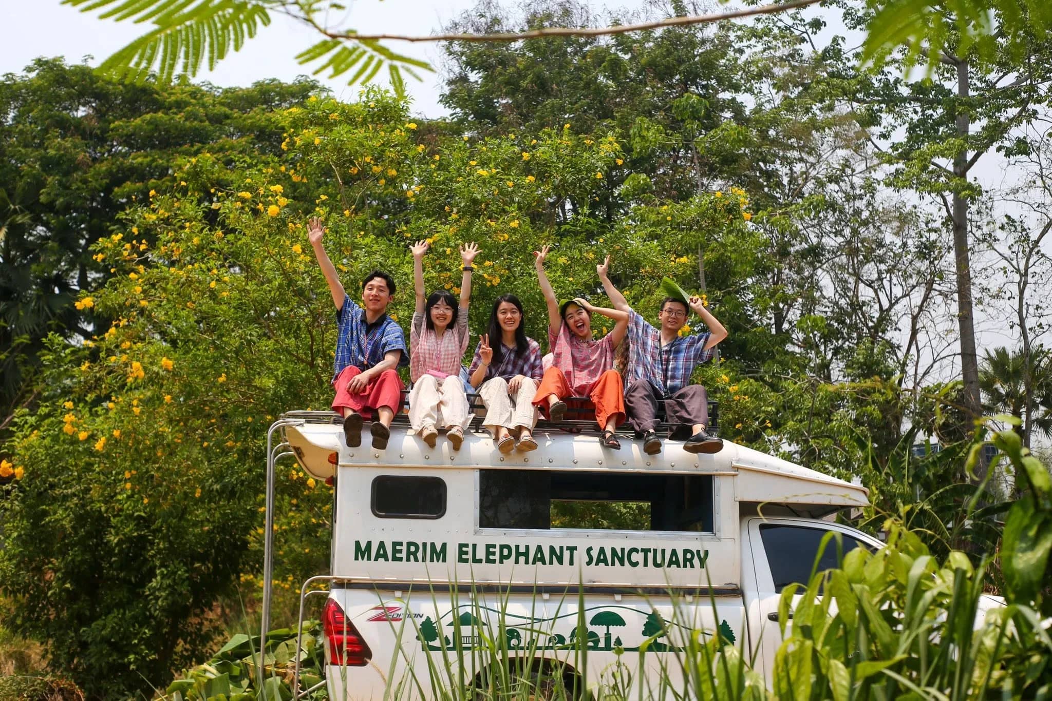 Visitors wave from the roof of a Maerim Elephant Sanctuary pickup truck among trees