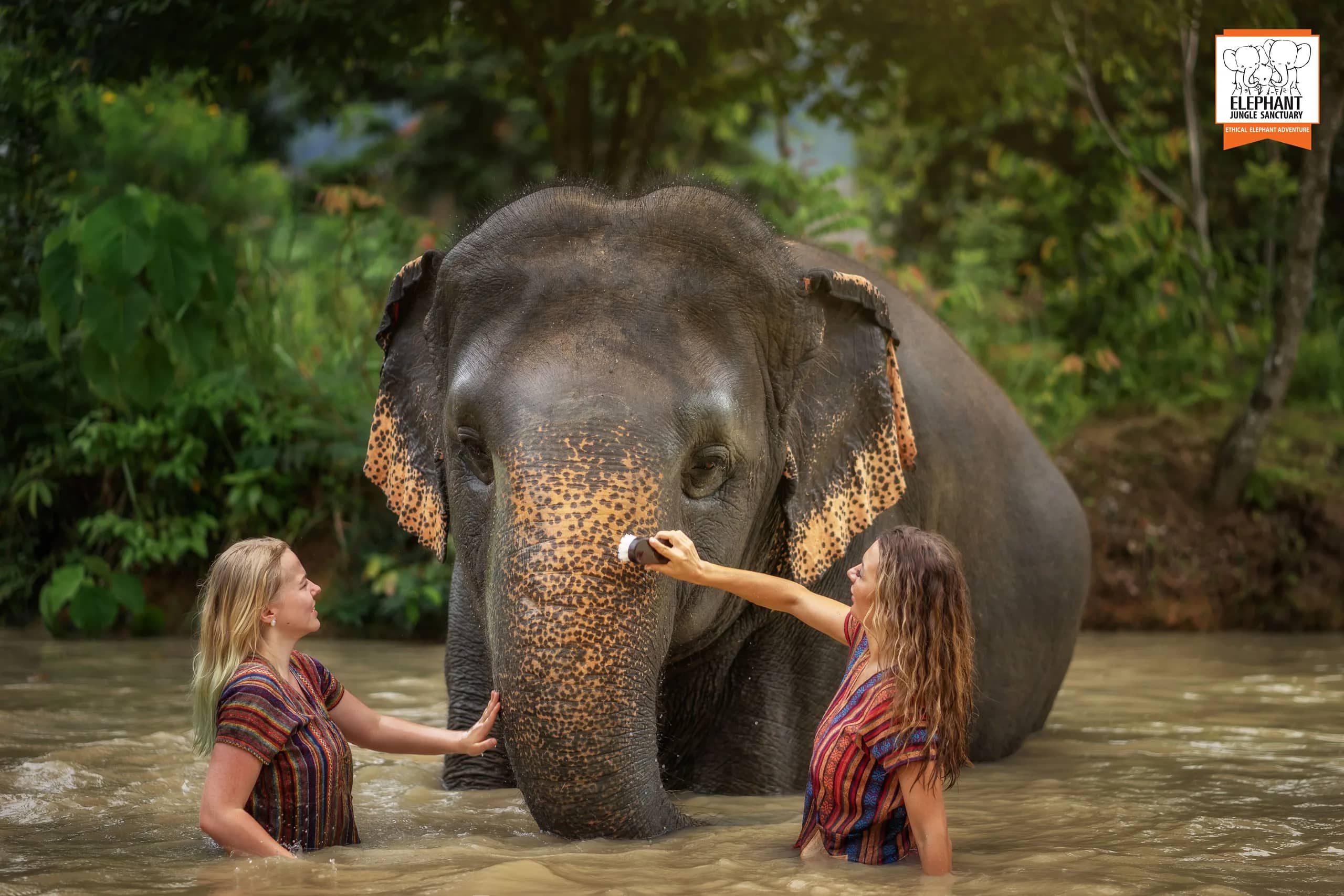 Half Day at Elephant Jungle Sanctuary Phuket (photo 12)