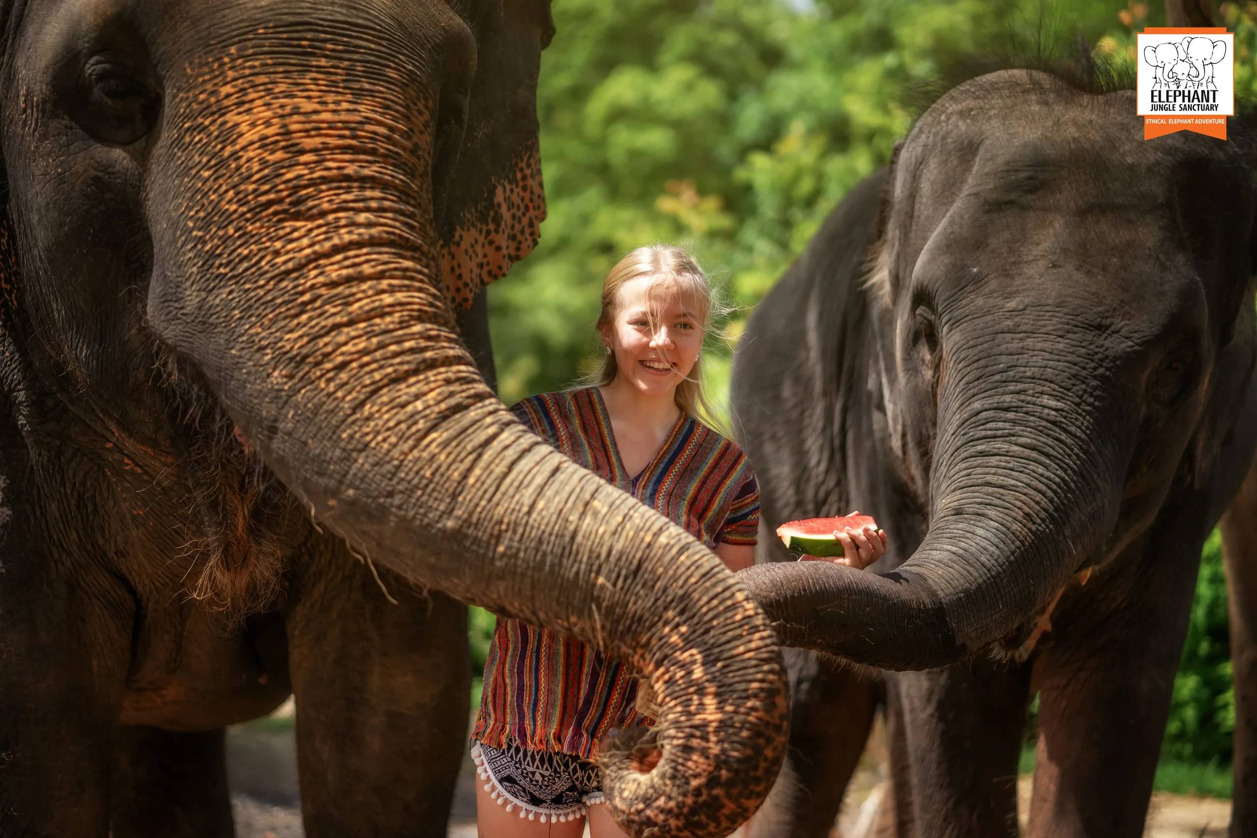 Half Day at Elephant Jungle Sanctuary Phuket (photo 3)