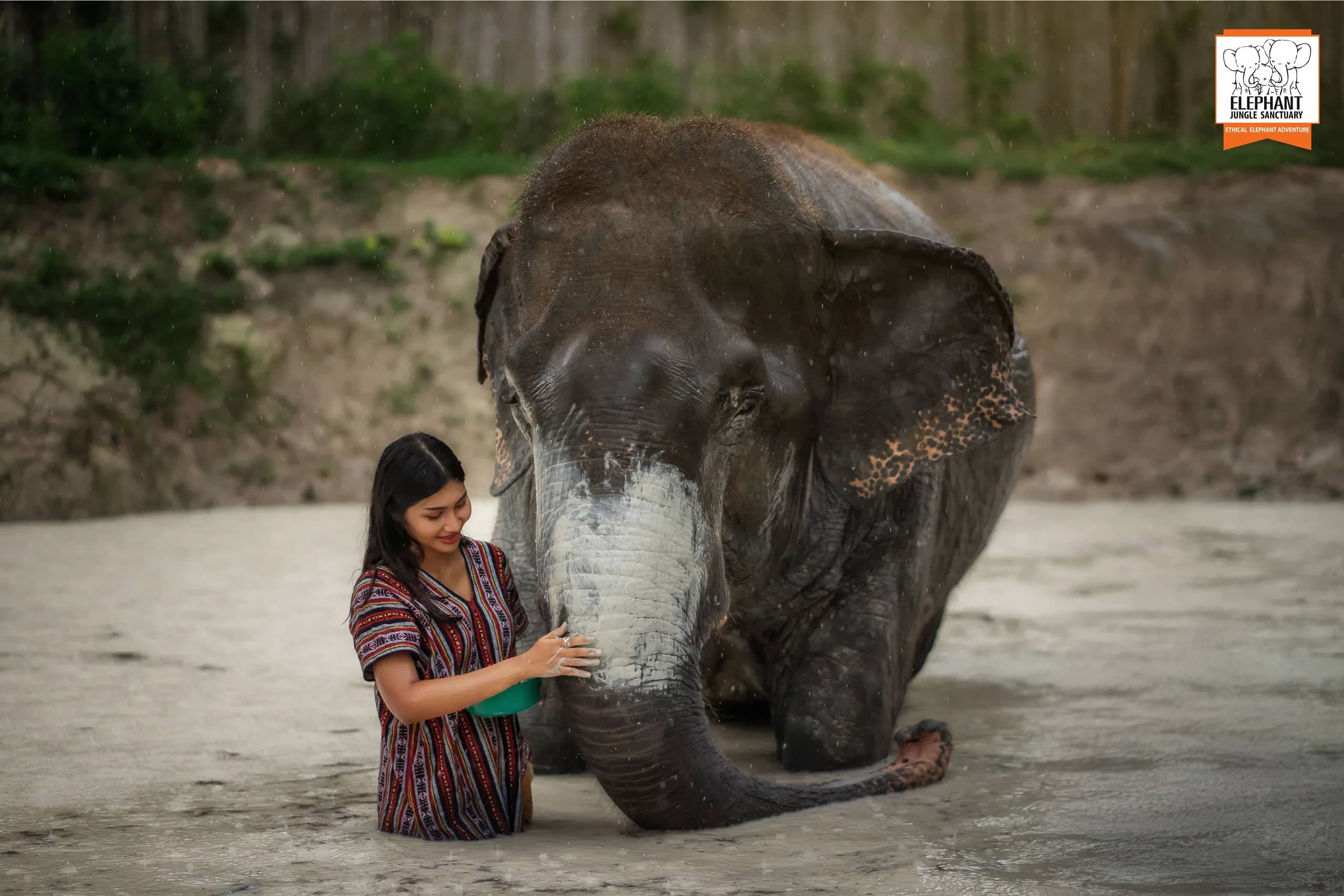 Half Day at Elephant Jungle Sanctuary Phuket (photo 8)