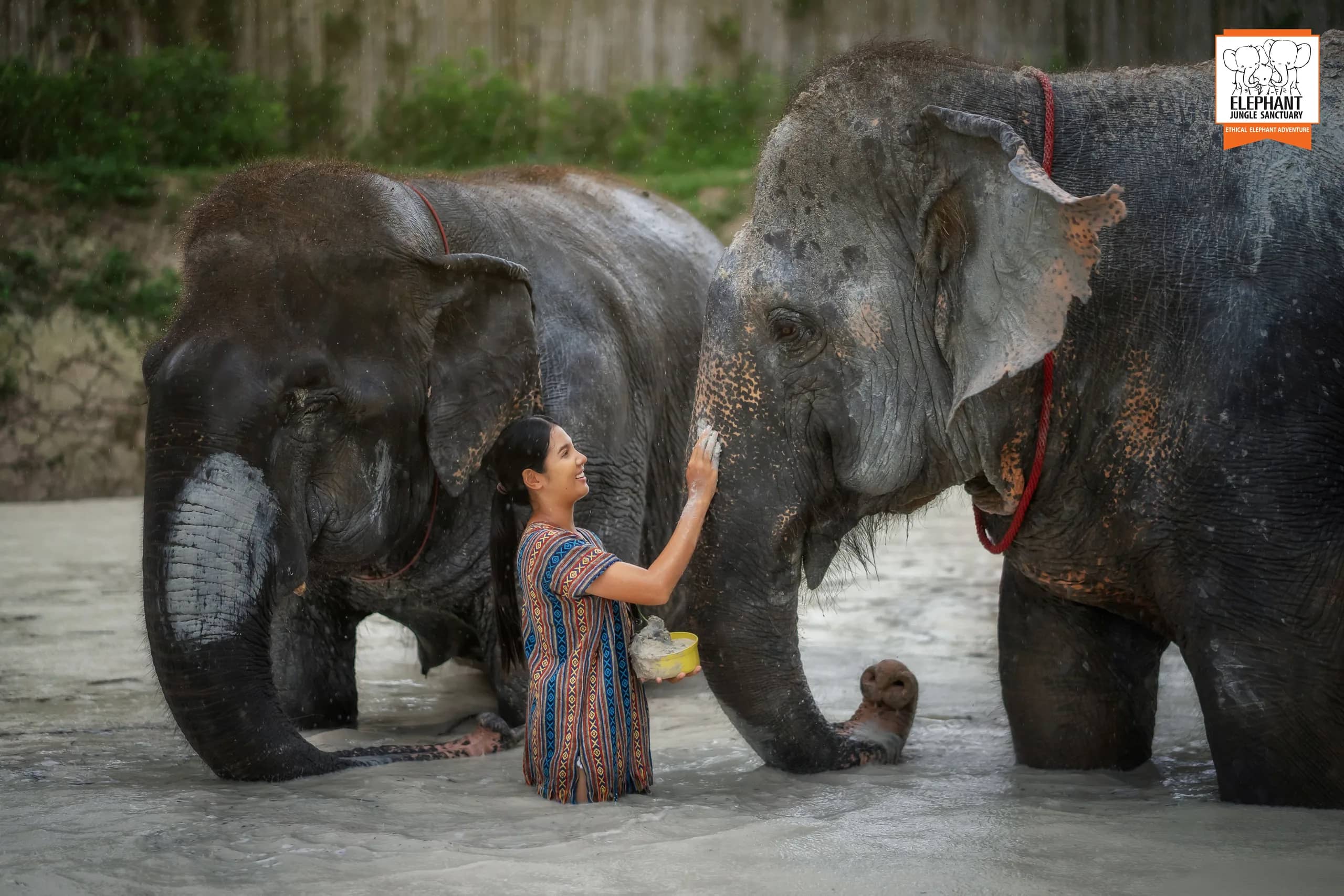 Half Day at Elephant Jungle Sanctuary Phuket (photo 1)