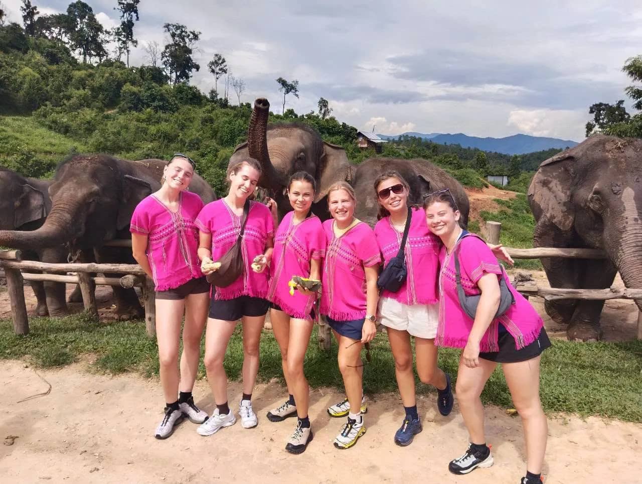 A group of smiling visitors in pink shirts poses in front of elephants at a hillside camp