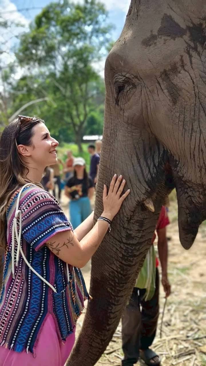 A visitor in a striped poncho gently touches the head of an elephant at the camp