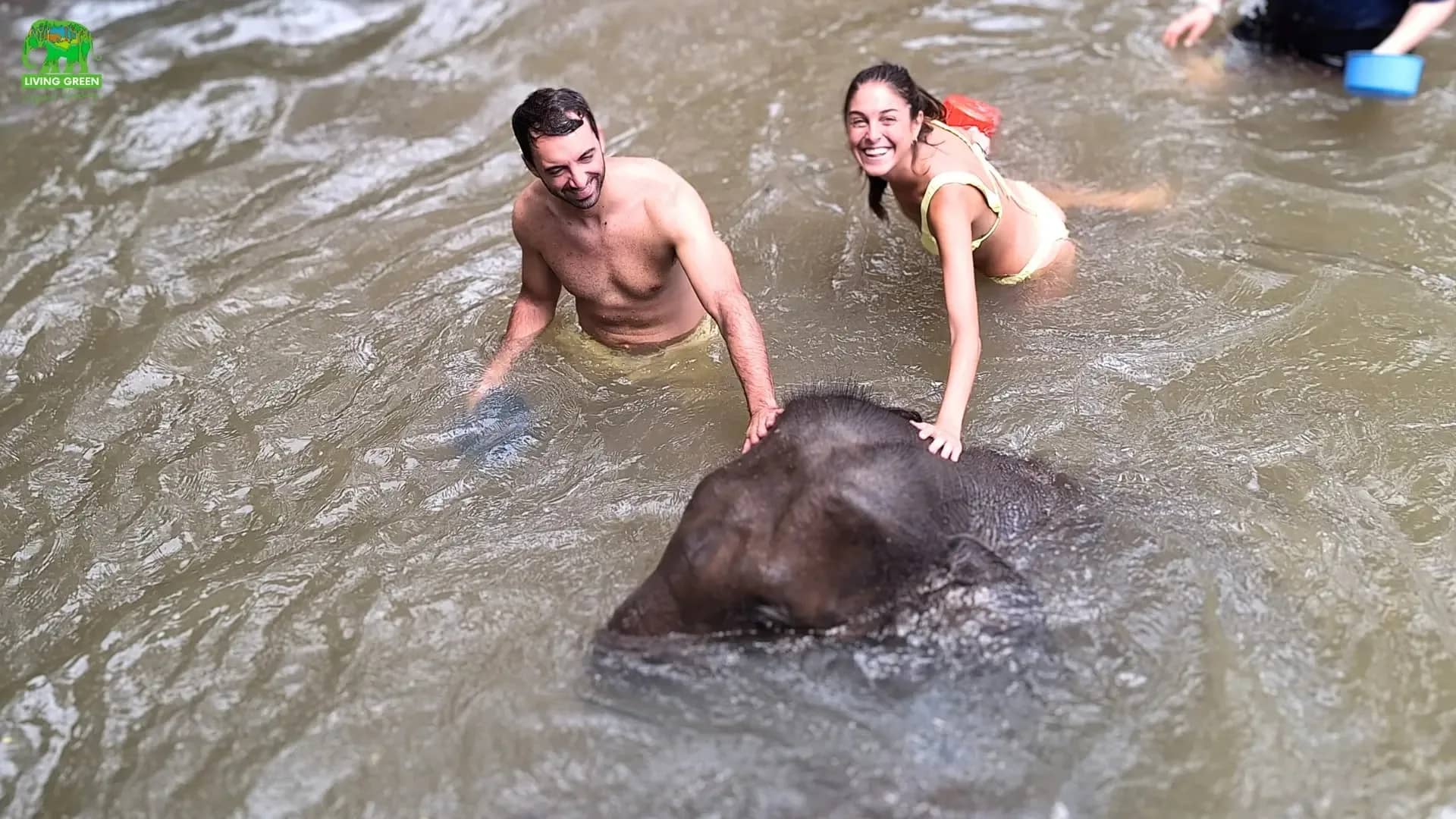 Two smiling visitors scrub an elephant lying in the river at Living Green Elephant Sanctuary