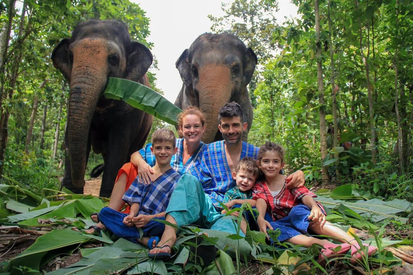 A smiling family in blue checked tops sits on banana leaves with two elephants standing behind them.