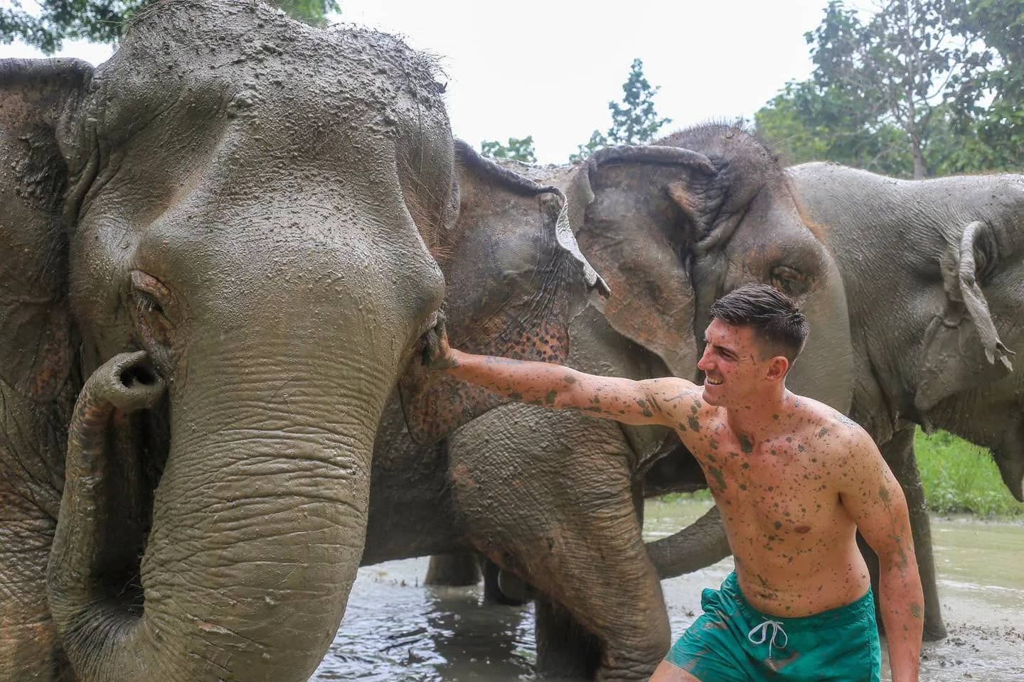 A visitor covered in mud splashes stands among a group of elephants at the water's edge