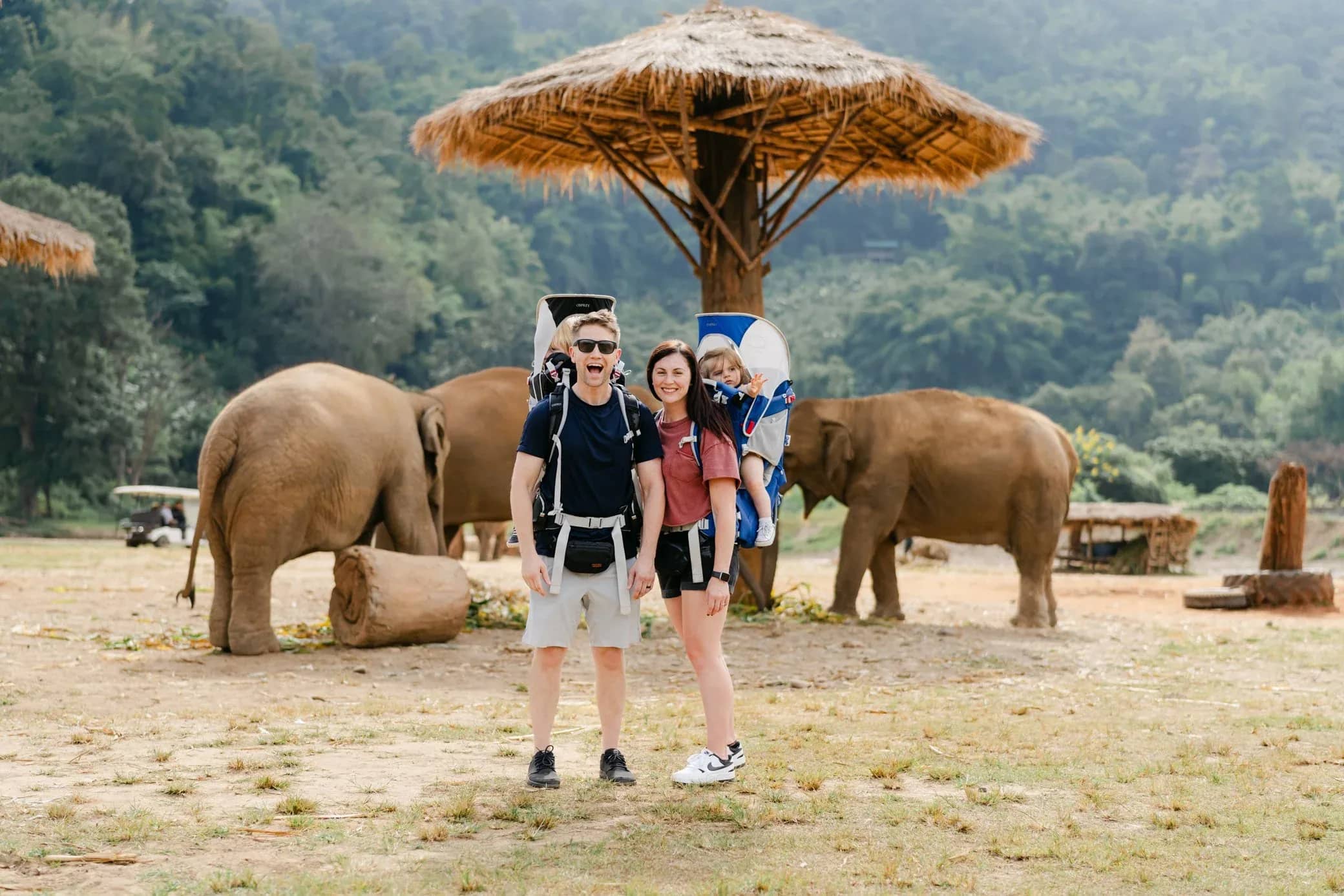 A family with a baby carrier poses in front of elephants beneath a thatched shade umbrella.