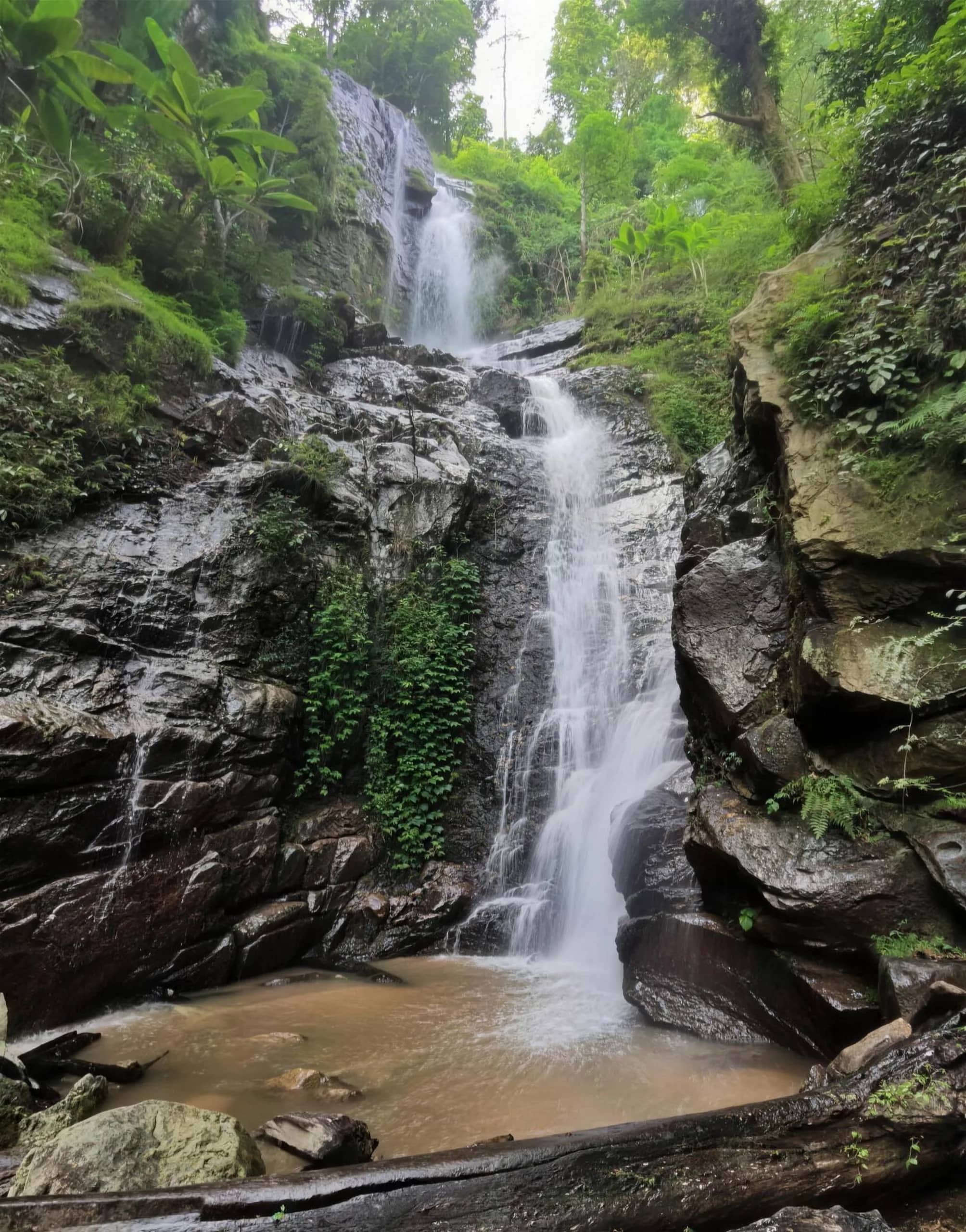 A slender waterfall drops over mossy rocks into a small pool in the forest near Chiang Mai