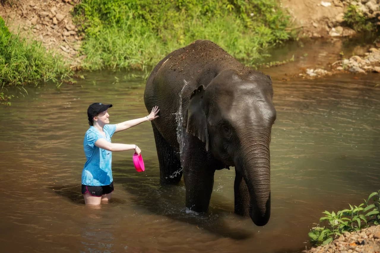 Half Day Premium at Elephant Jungle Sanctuary Phuket (photo 7)