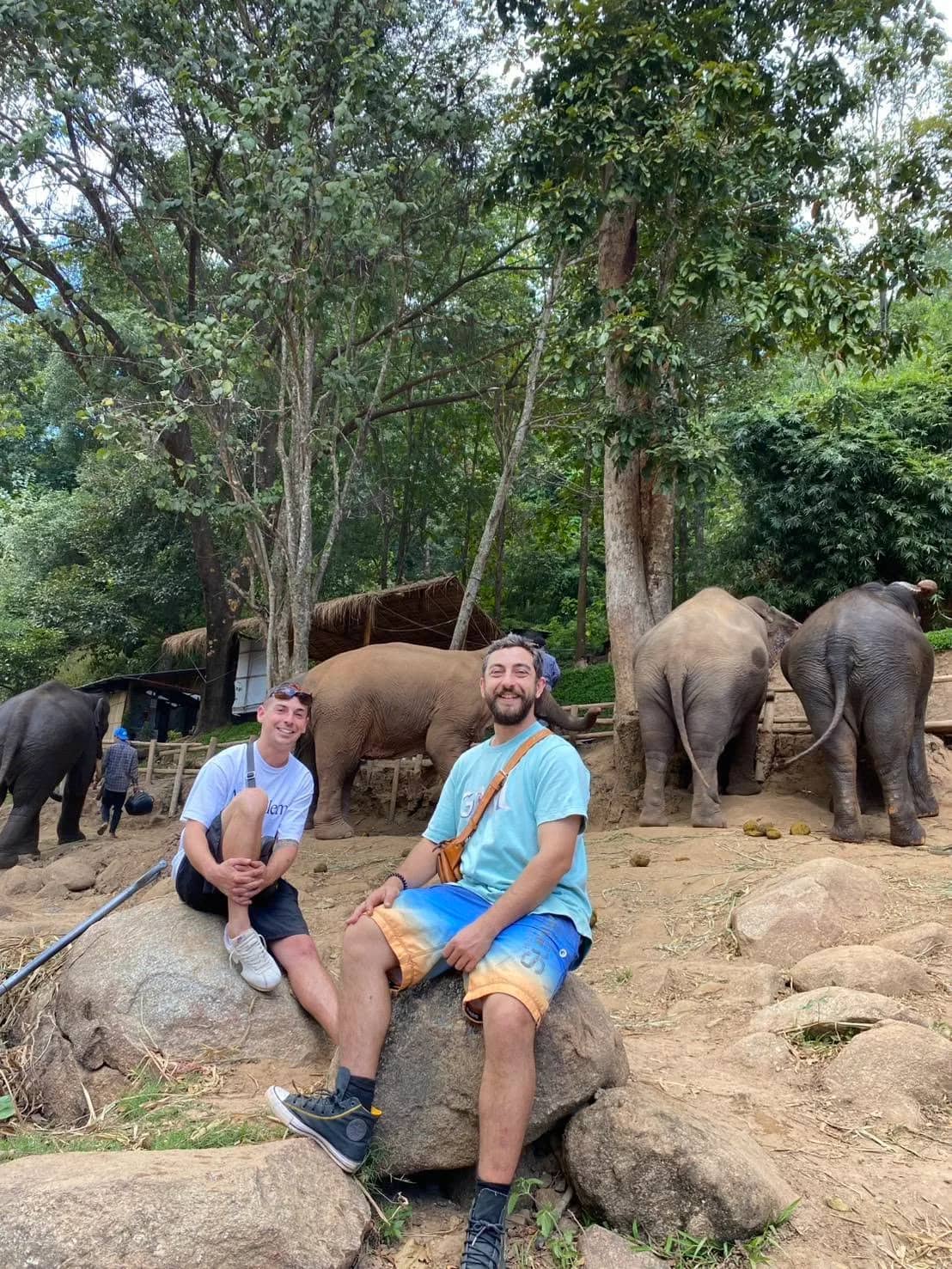 Two visitors sit on rocks while a small group of elephants feeds under the trees behind