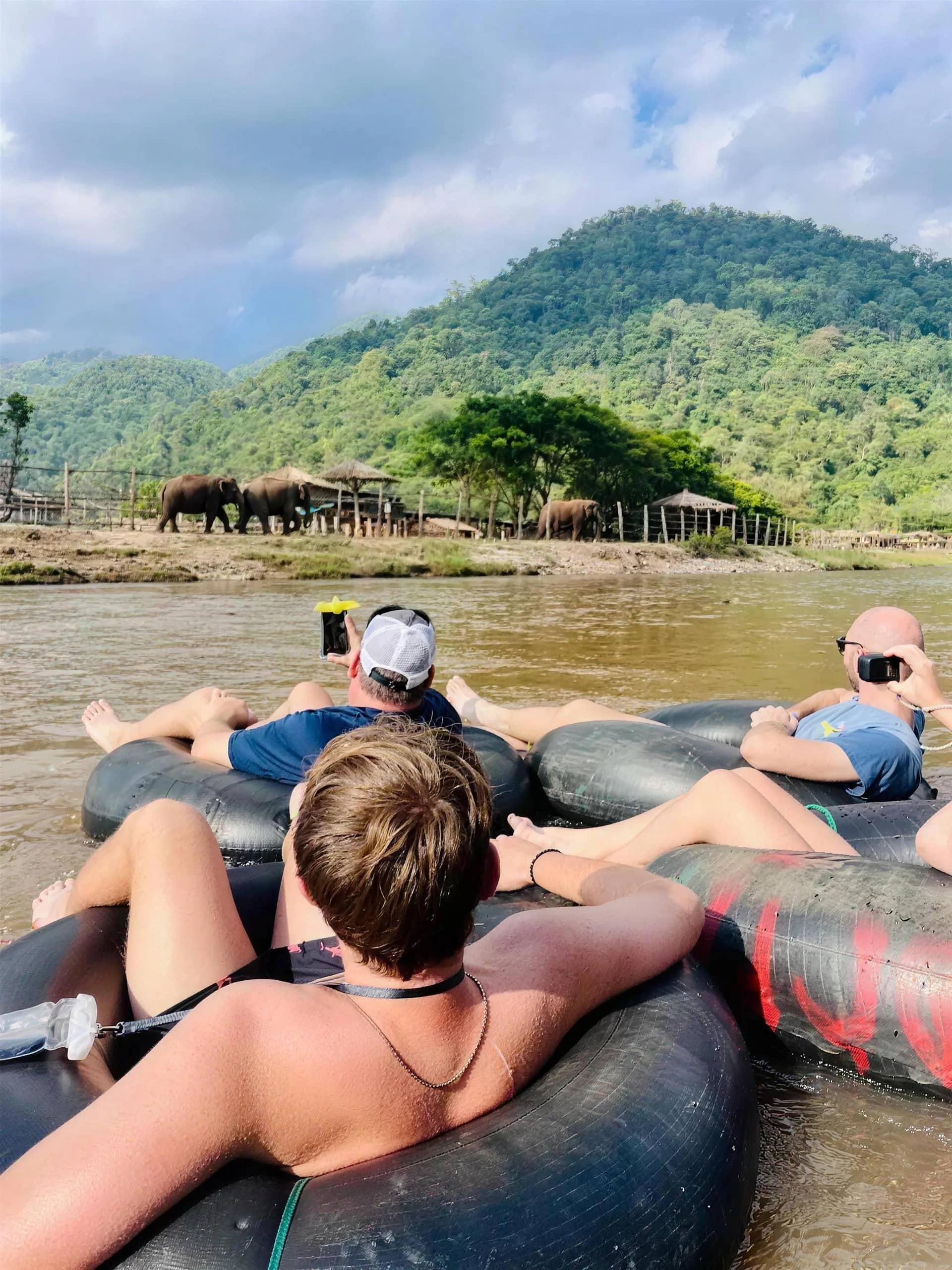 Guests float on black rubber tubes down a river with elephants and a green hill on the far bank.