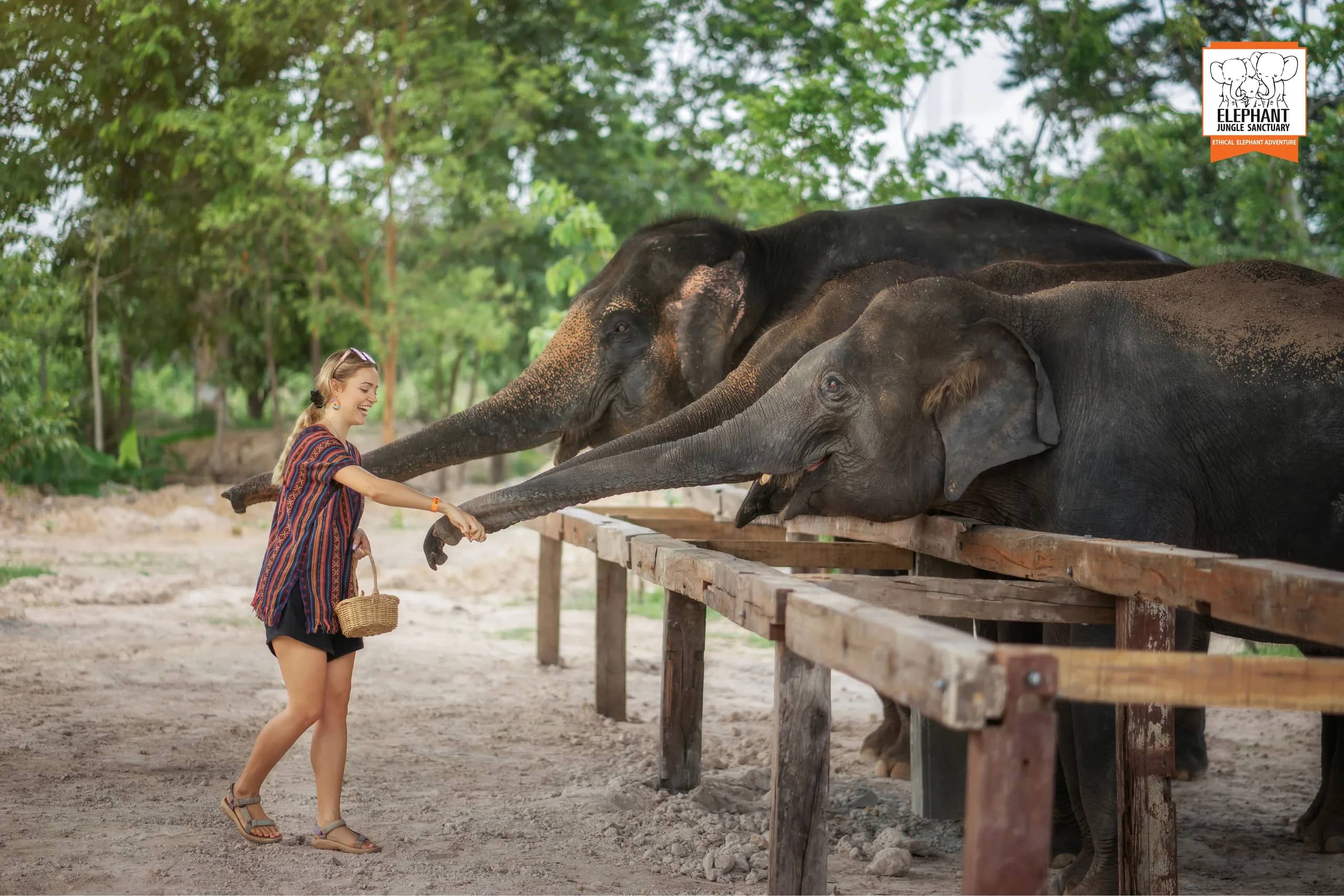 Half Day Visit at Elephant Jungle Sanctuary Chiang Mai (photo 6)