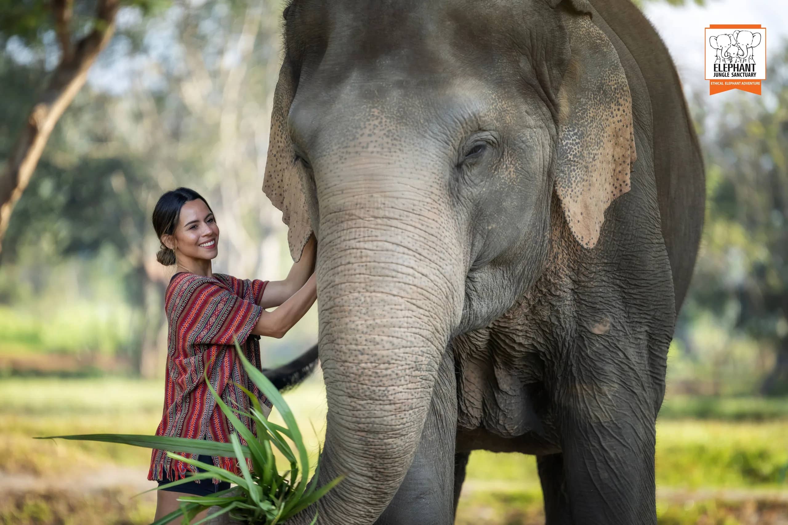 Half Day Visit at Elephant Jungle Sanctuary Chiang Mai (photo 7)