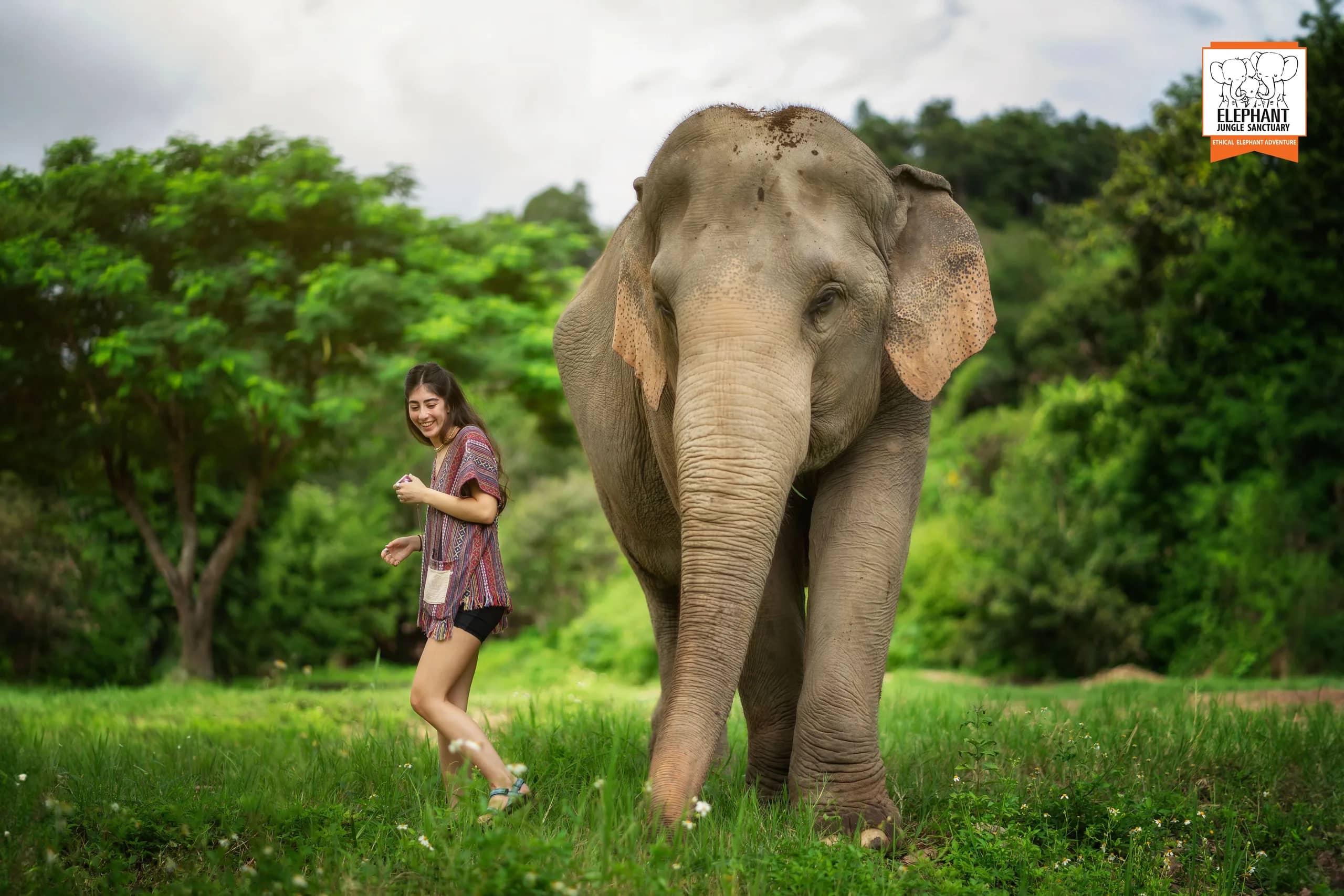 Half Day Visit at Elephant Jungle Sanctuary Chiang Mai (photo 1)