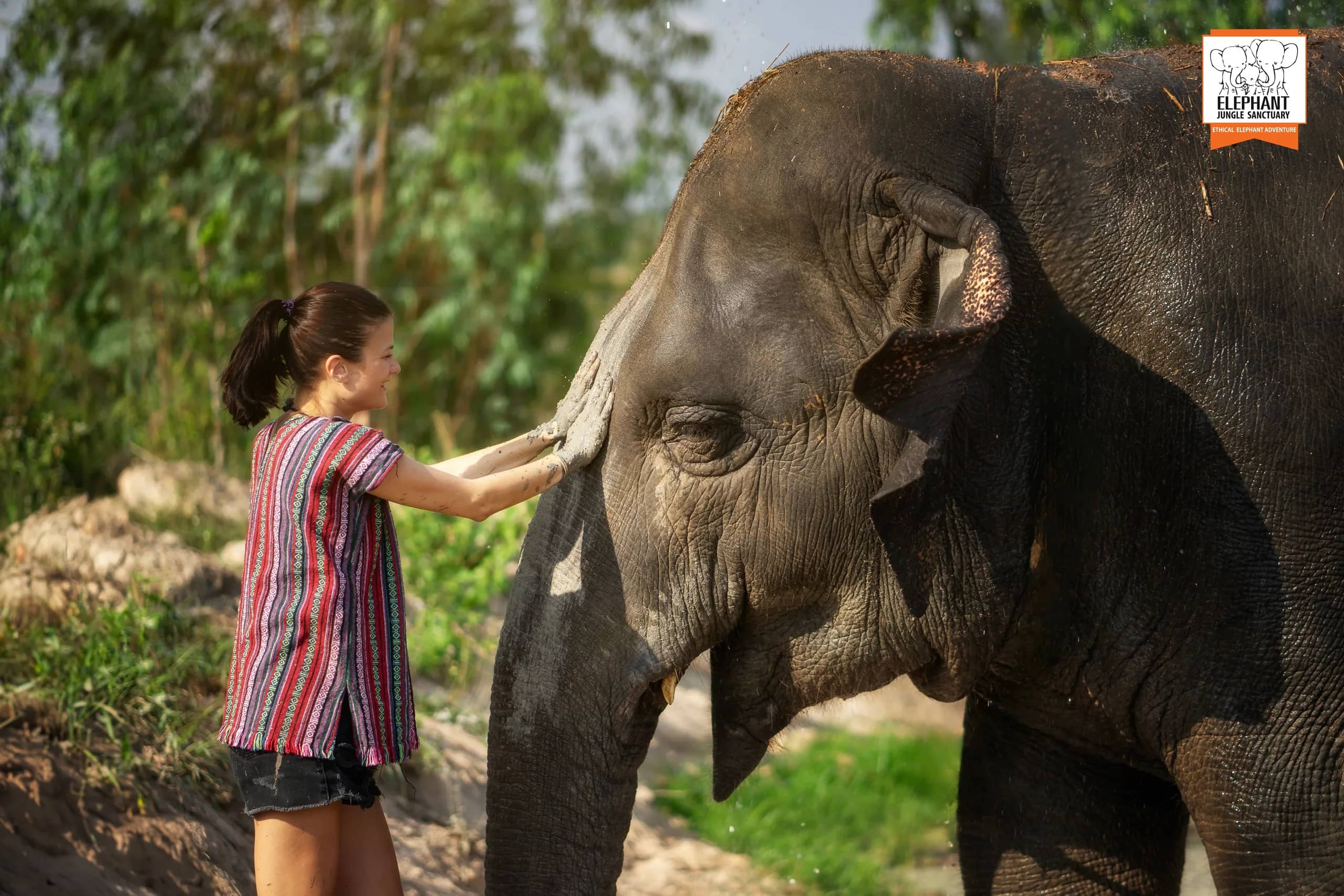 Half Day Visit at Elephant Jungle Sanctuary Pattaya (photo 8)