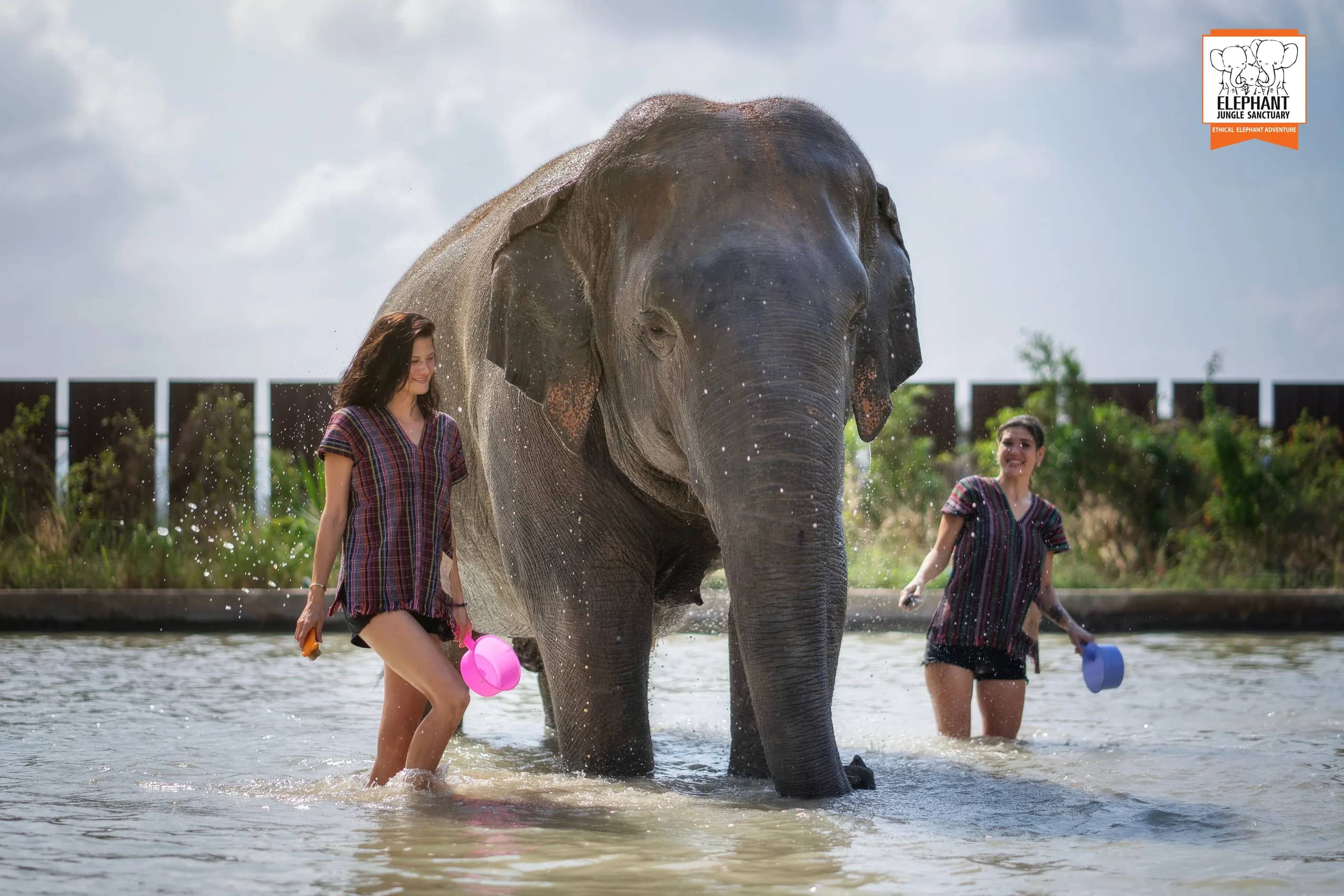 Half Day Visit at Elephant Jungle Sanctuary Pattaya (photo 9)