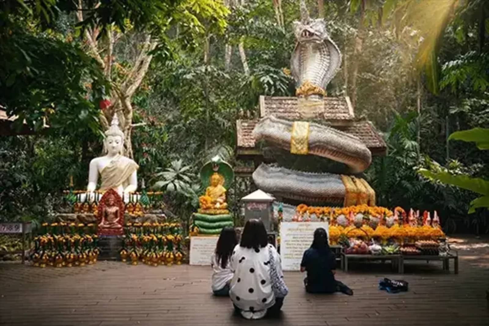 Visitors kneel before a shrine with a white Buddha and a large coiled naga statue in the jungle