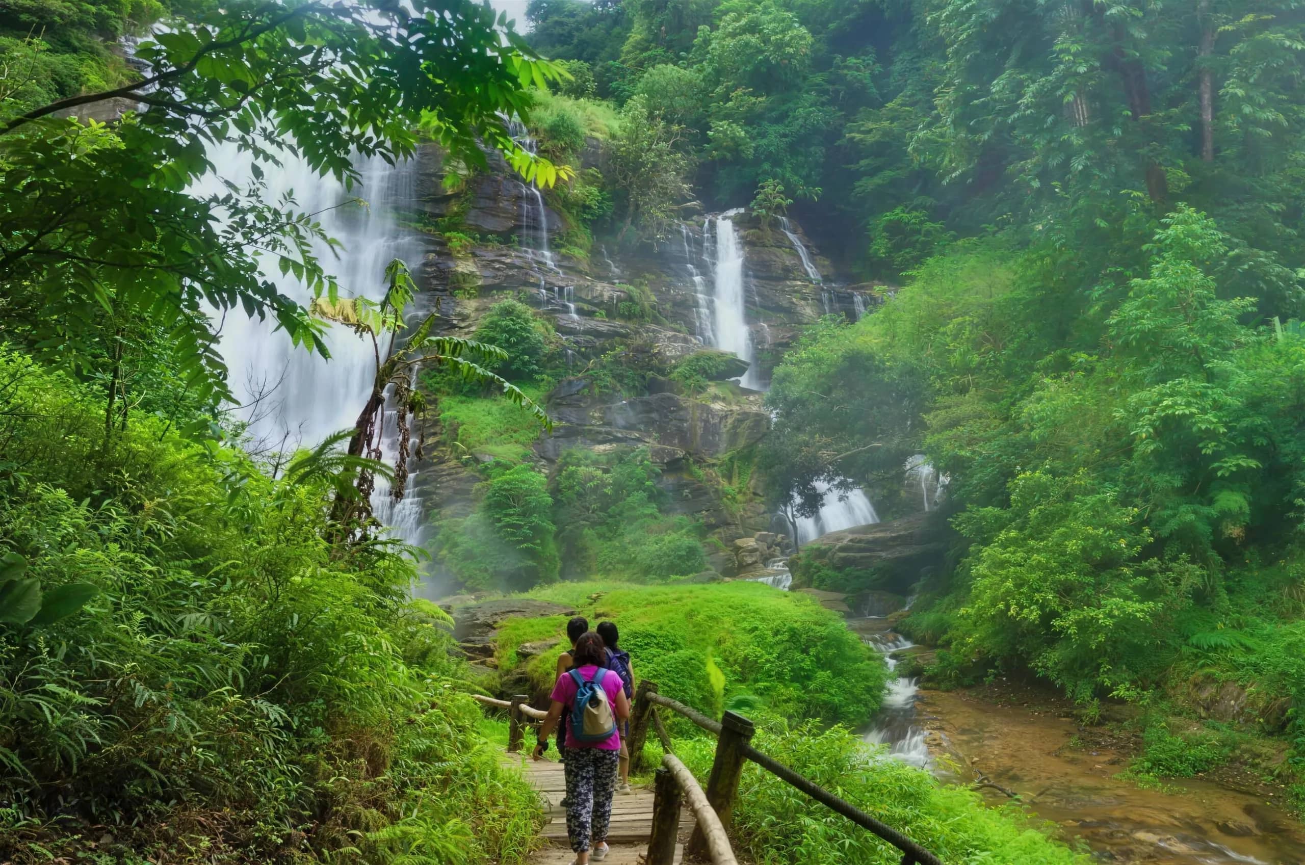 A hiker walks a fenced path toward a tall waterfall in the green forest of Doi Inthanon