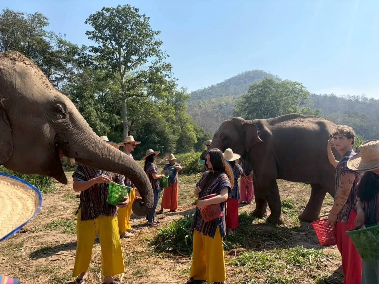 Guests in traditional tops and straw hats hand food from baskets to elephants below wooded hills.