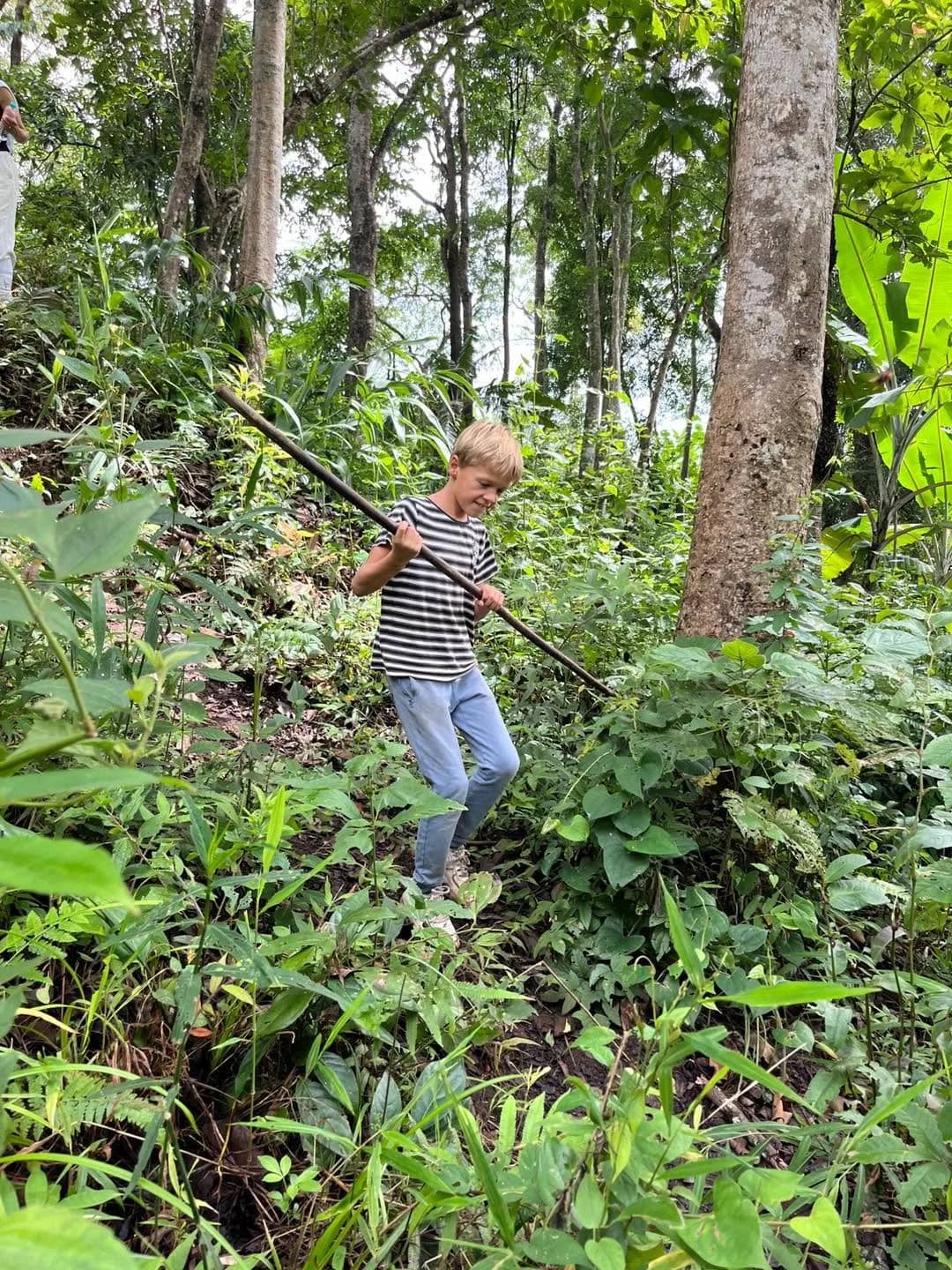 A boy in a striped shirt carries a long stick while hiking through dense forest undergrowth.