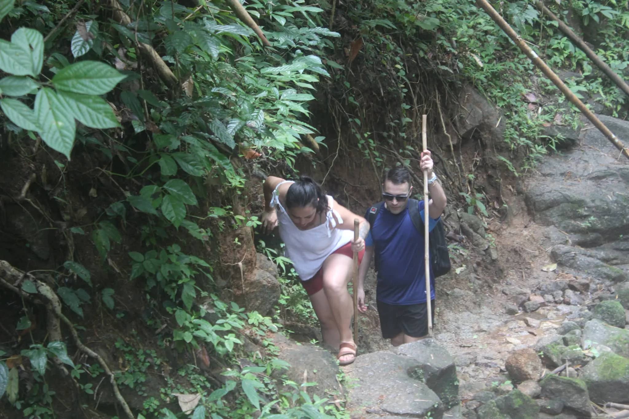 Two hikers with a bamboo walking stick climb a steep rocky path through dense jungle