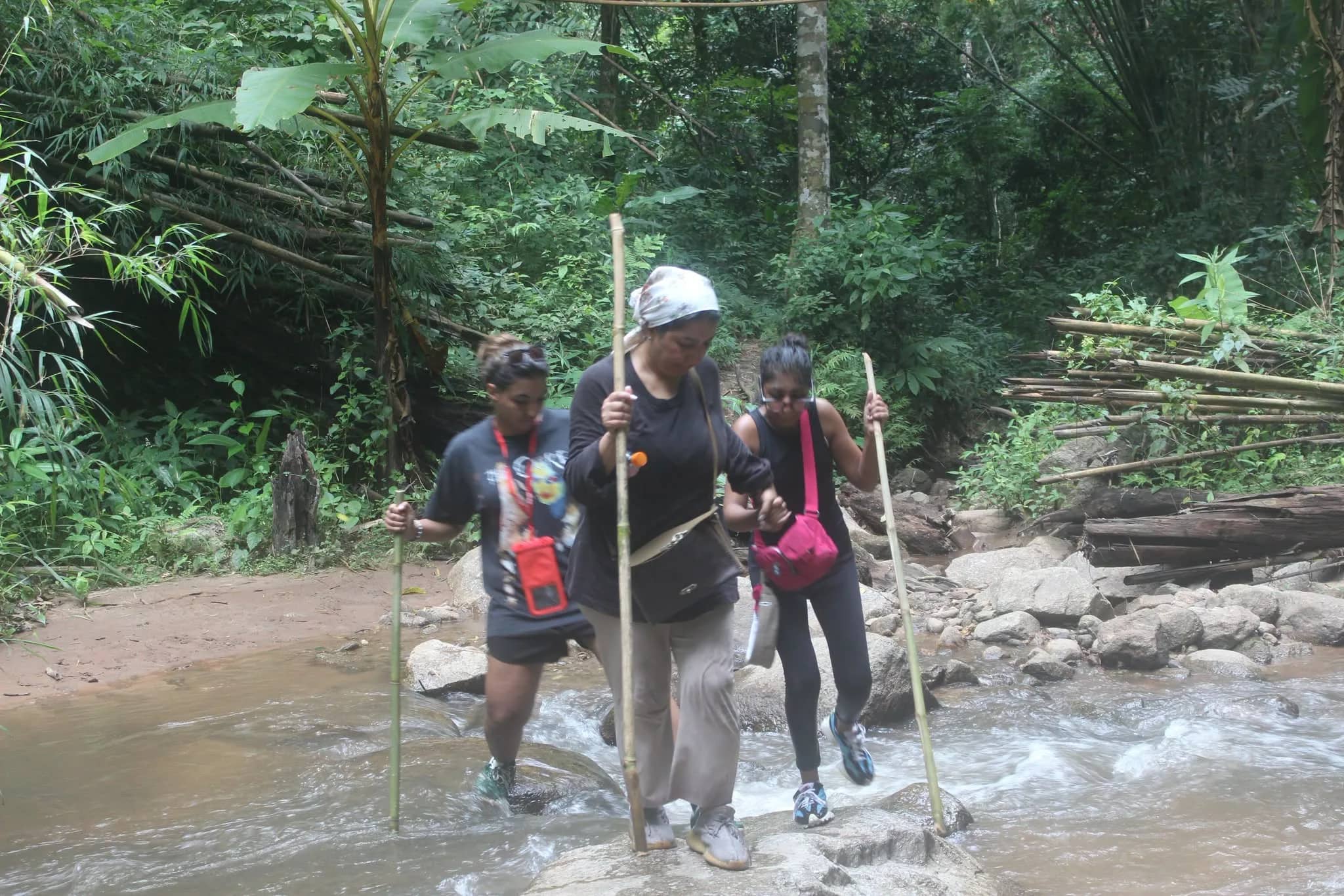 Three trekkers with bamboo poles wade across a shallow stream in the forest