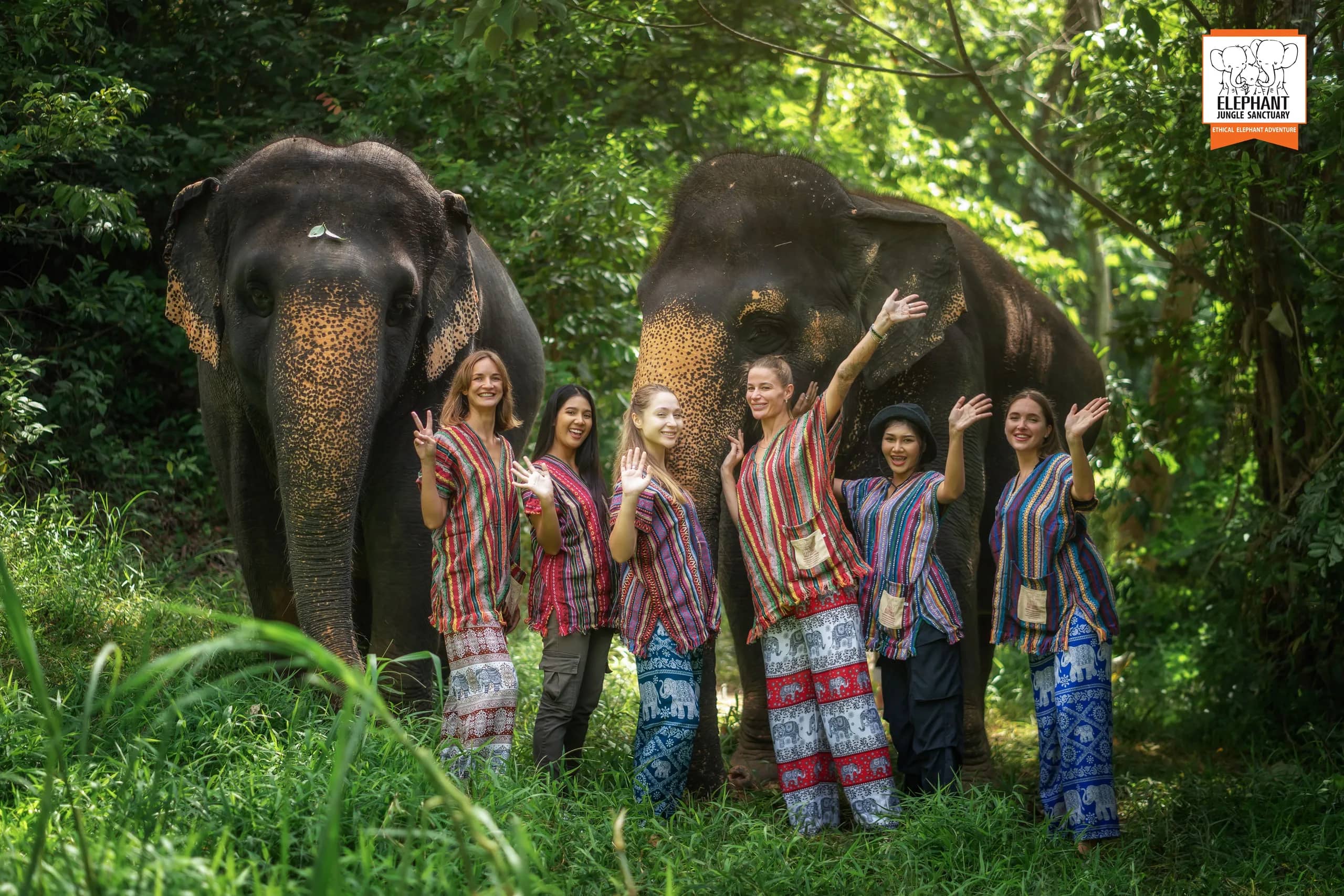 One Day Walk with Elephant at Elephant Jungle Sanctuary Phuket (photo 11)