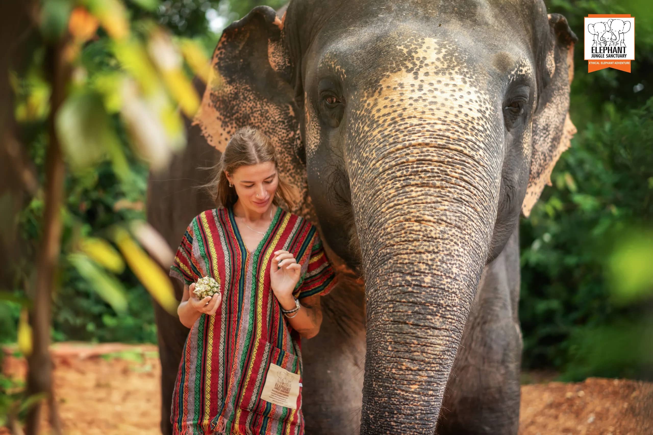 One Day Walk with Elephant at Elephant Jungle Sanctuary Phuket (photo 2)